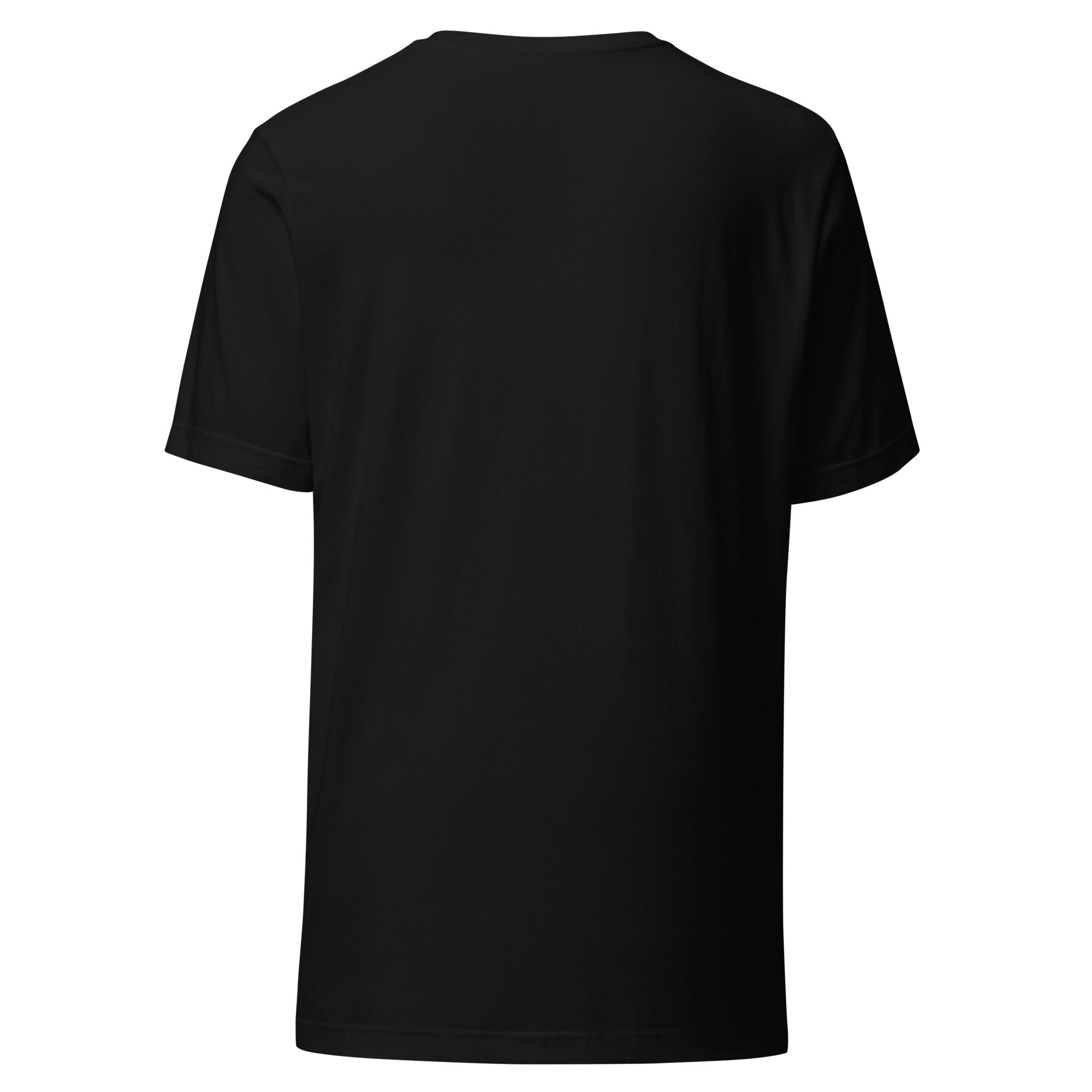unisex-staple-t-shirt-black-back-6a85fb34294c1.png