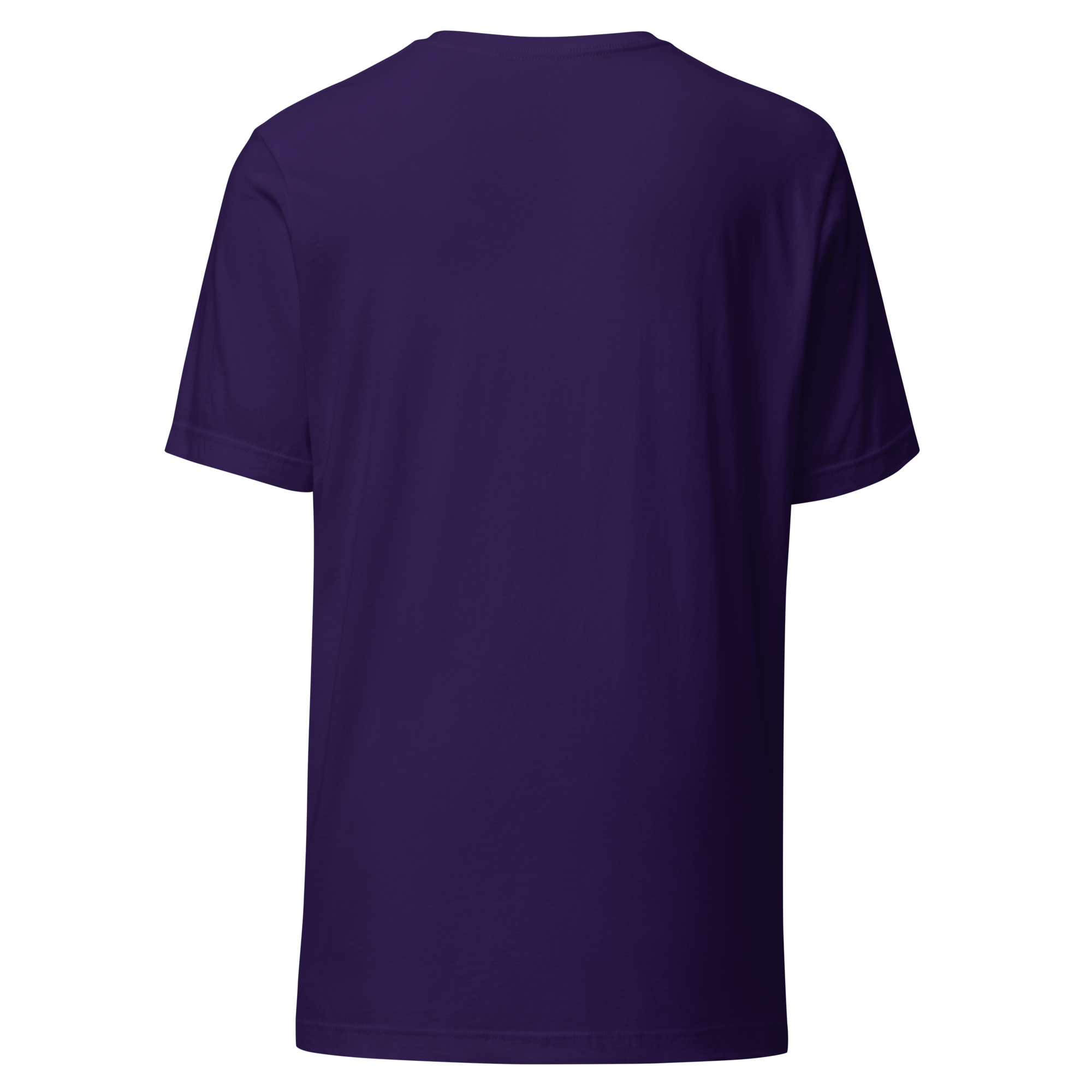 unisex-staple-t-shirt-team-purple-back-6a85fb3429600.png