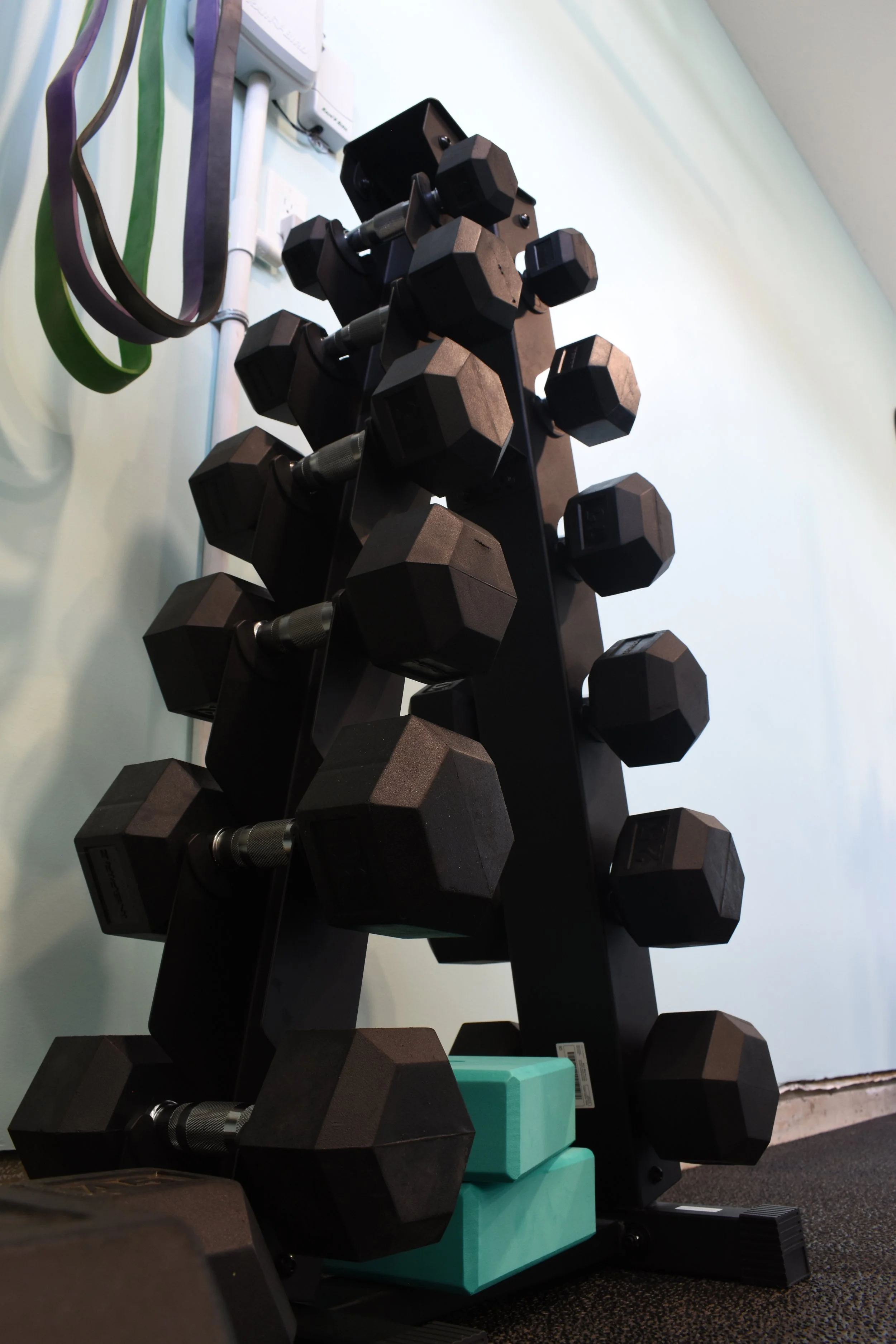 Vertical dumbbell tree with 5–30 lb dumbbells for strength training in a private gym.