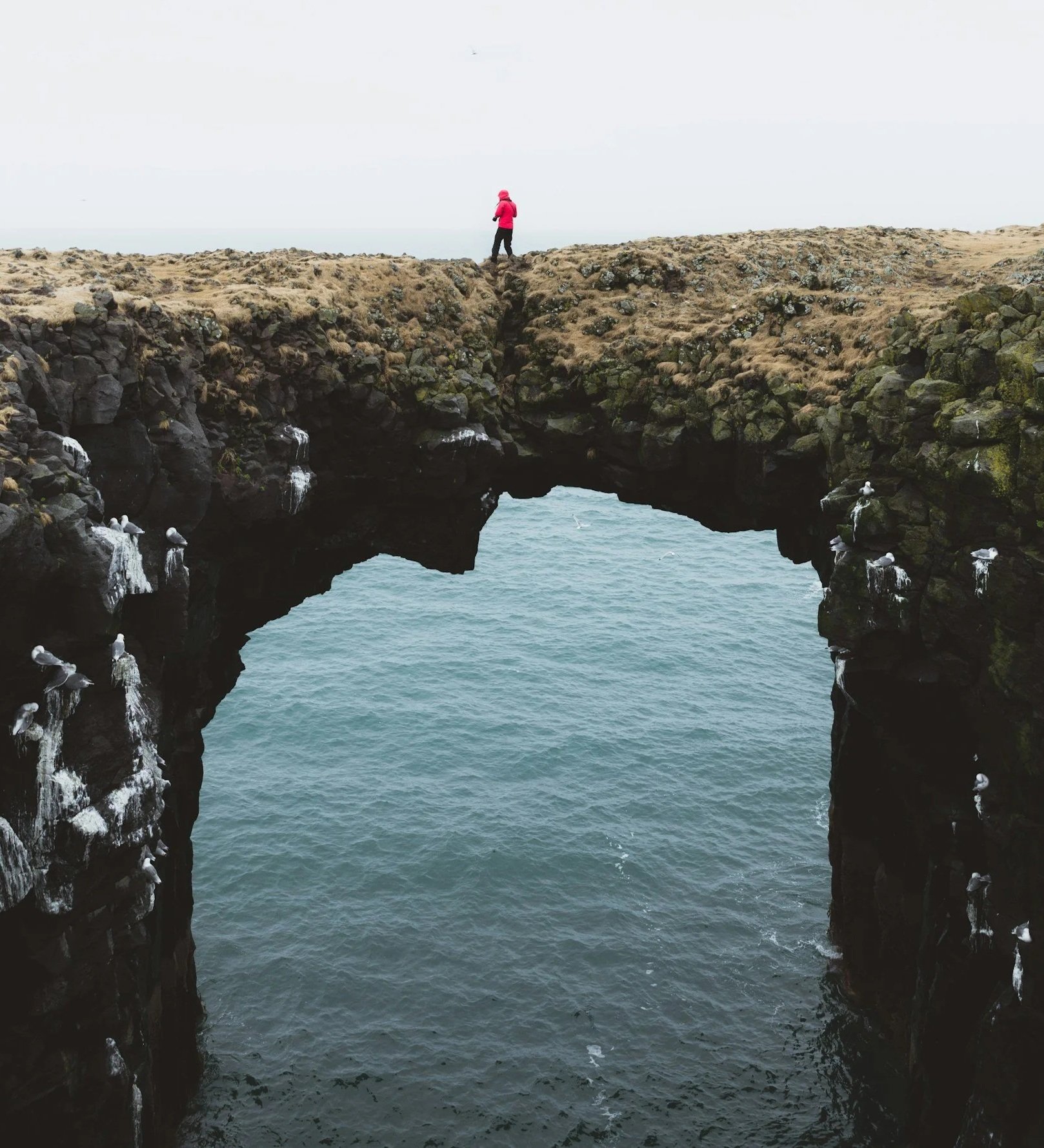 You don't have to feel alone when seeking answers to dispute resolution in Utah. Hire Shelisa York, court qualified mediator in Utah, to help you resolve your differences even before filing a petition.