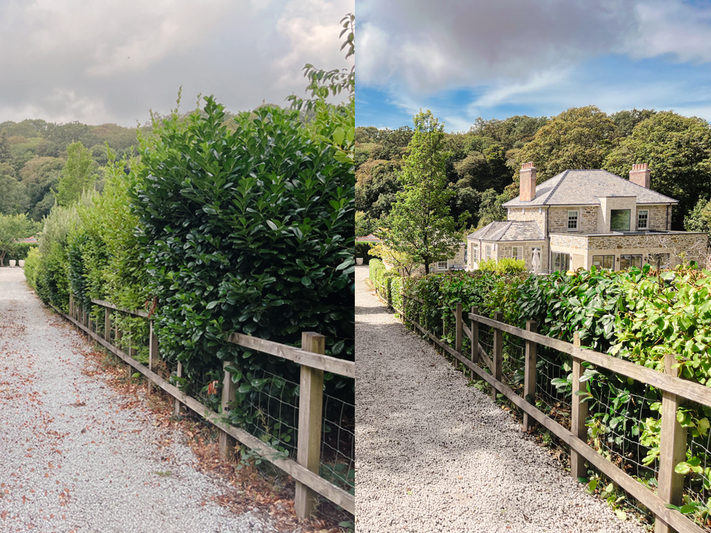 hedge reduction.png
