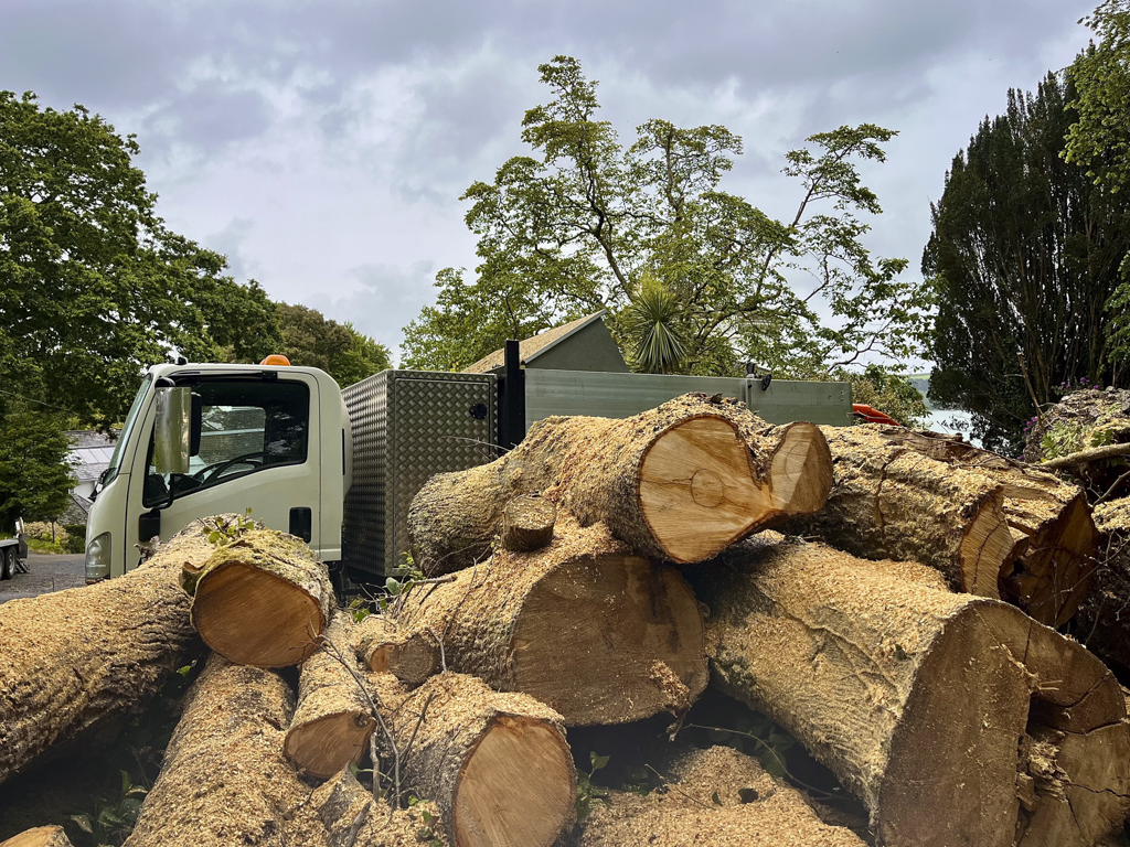 A flatbed truck carrying chopped tree logs with rough bark and exposed wood ends, parked in a suburban area with trees and houses in the background.