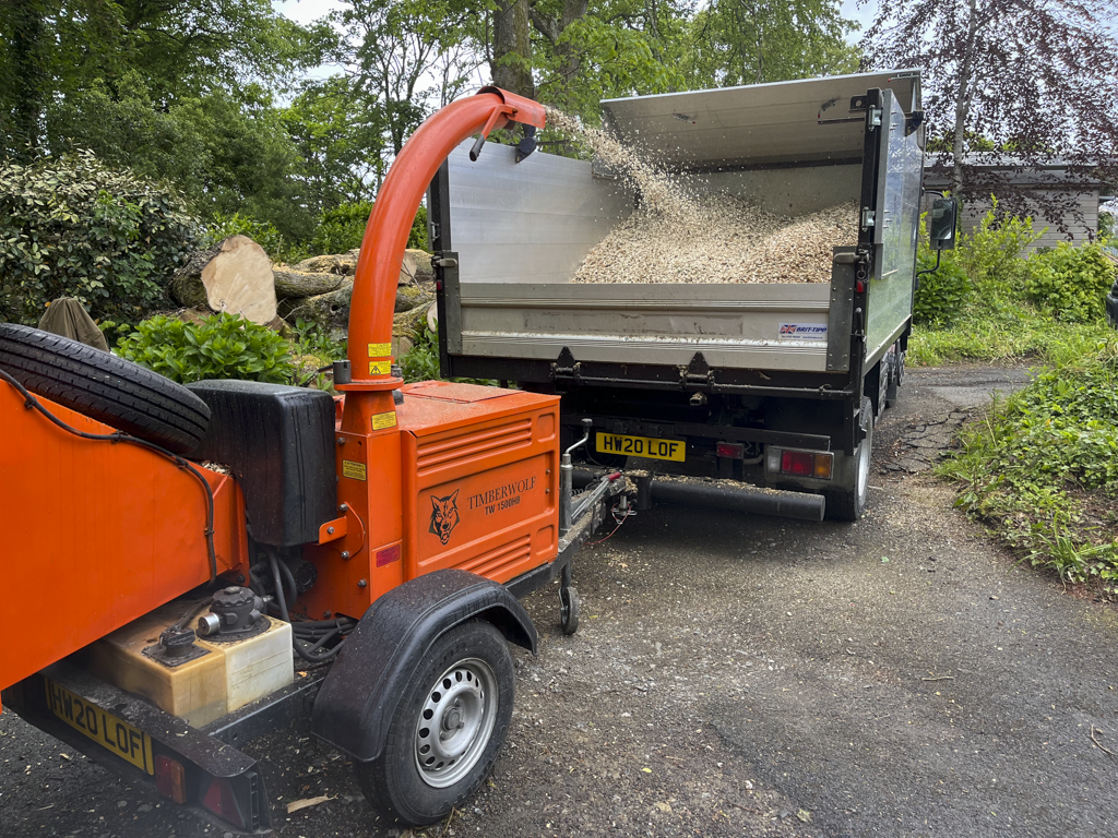 A wood chipping machine connected to a truck, chipping wood into mulch, outdoors on a gravel pathway surrounded by trees and bushes.