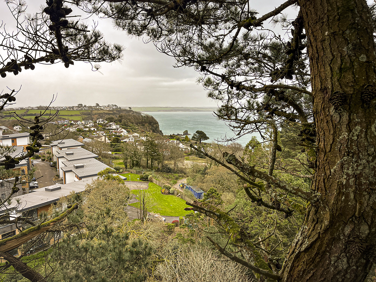 A view of a coastal neighborhood with houses, trees, and a grassy area overlooking the ocean, taken from behind a tree.