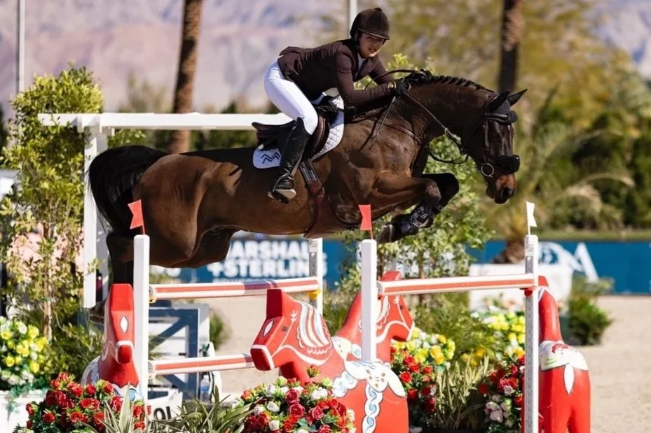 Basic Guide To Show Jumping