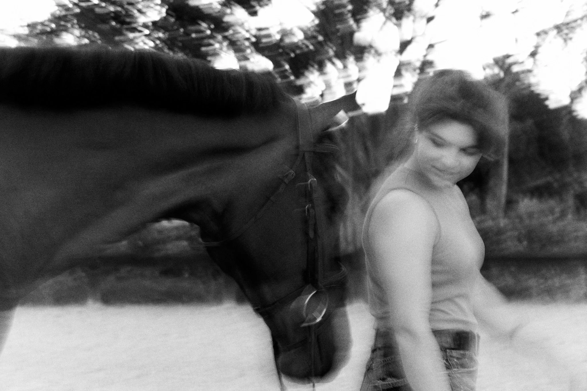 How I Got Tricked Into Devoting My Life to Horses