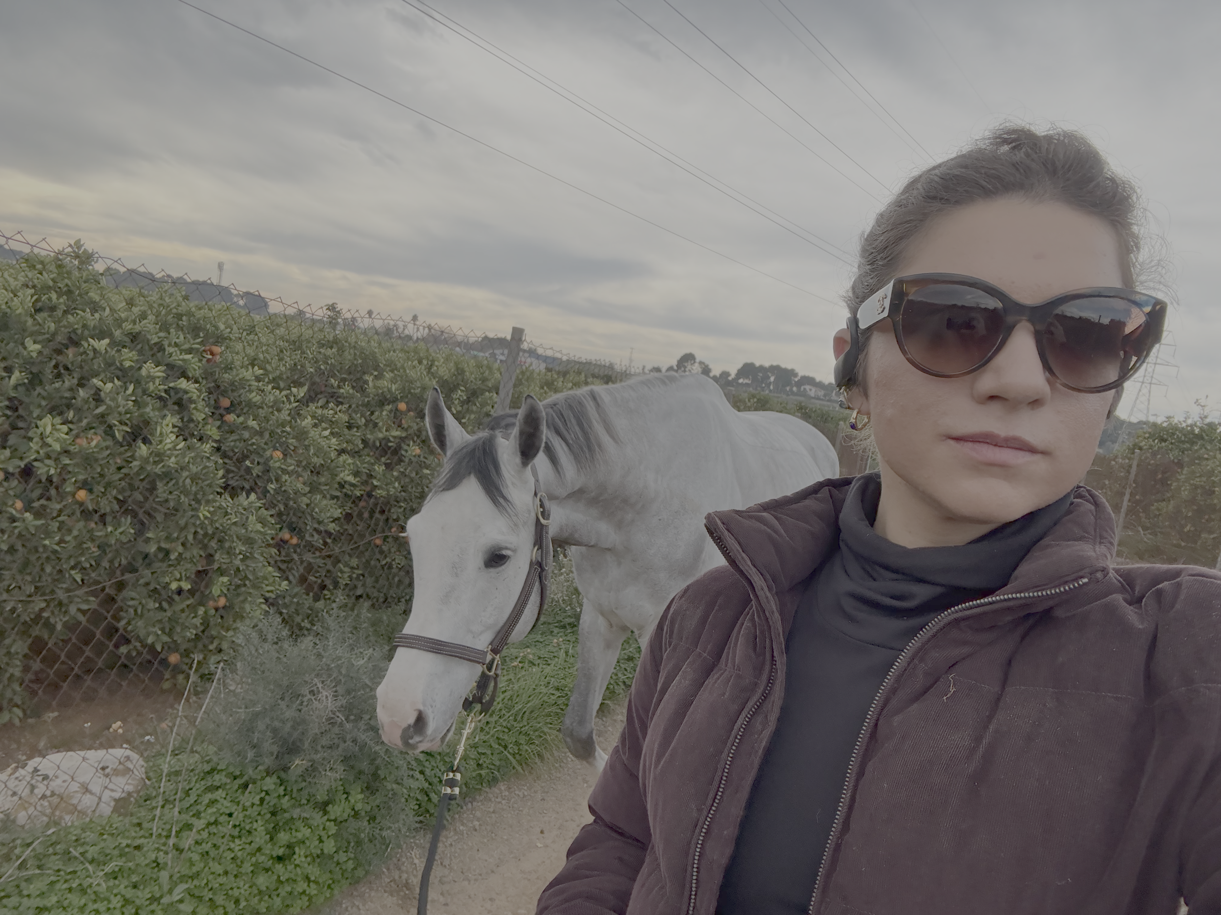 10 Differences Between Showing in THE USA  vs THE EU: What I Learned in 3 Months