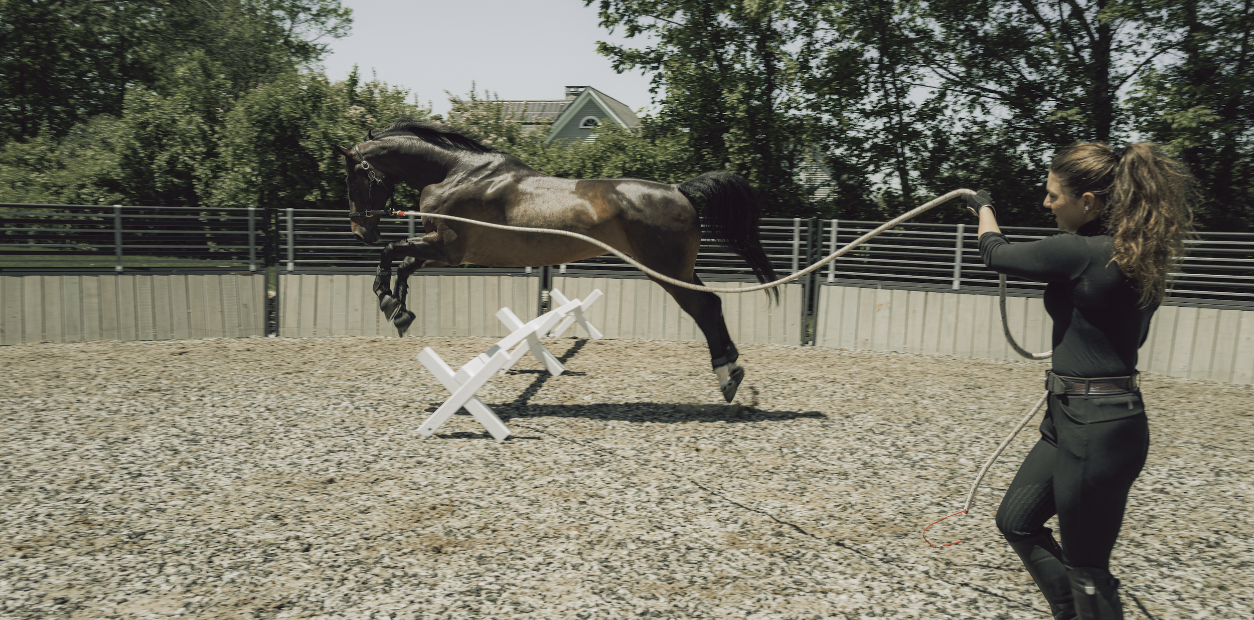 5 Relationship &amp; Communication Skills I Learned From Horses