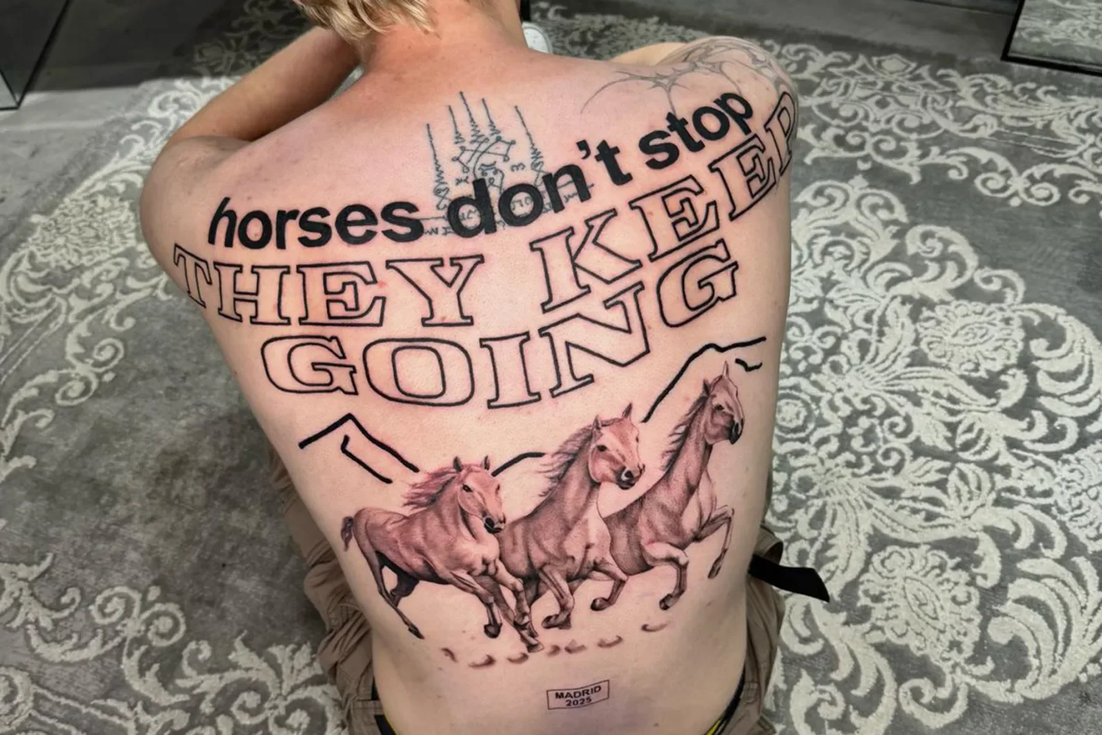 Top 5 Pop Culture Horses
