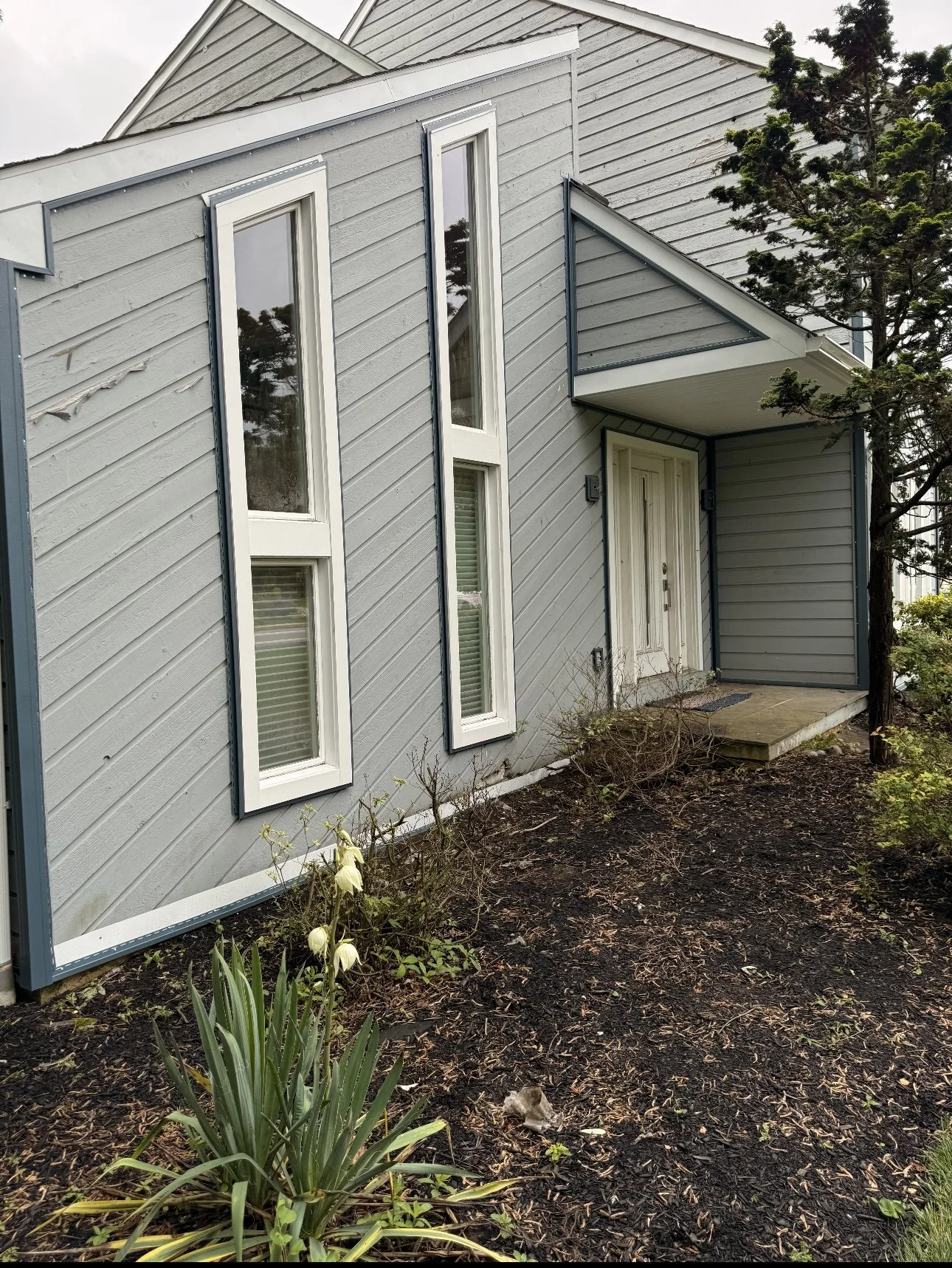 The photo shows the exterior of a modern house with gray siding, three tall narrow windows, a white front door with a sidelight, a small porch with steps, and some plants and bushes in the front yard. There is a tree on the right side and the ground 