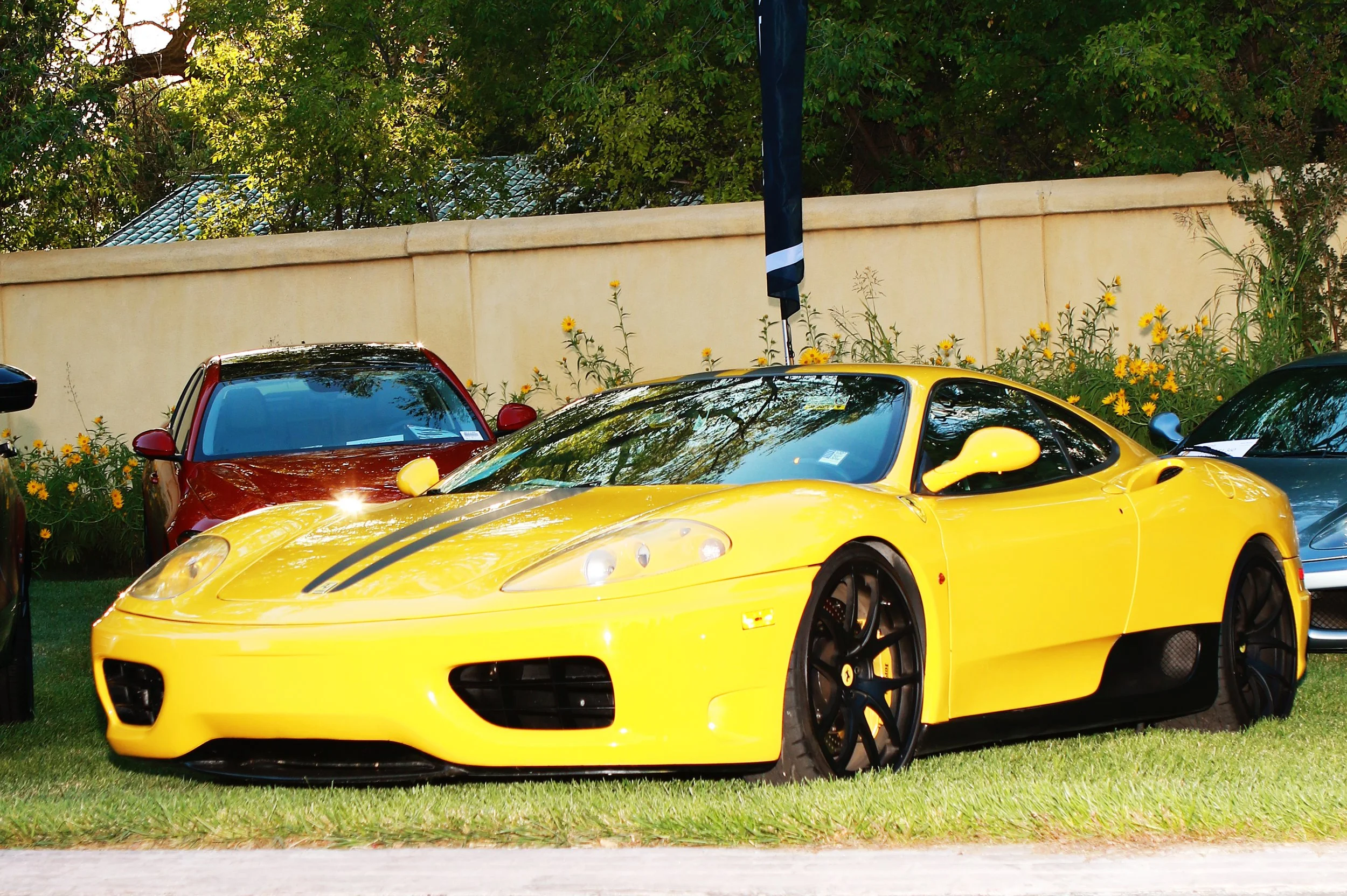 kimjacksonphoto - 66.JPG