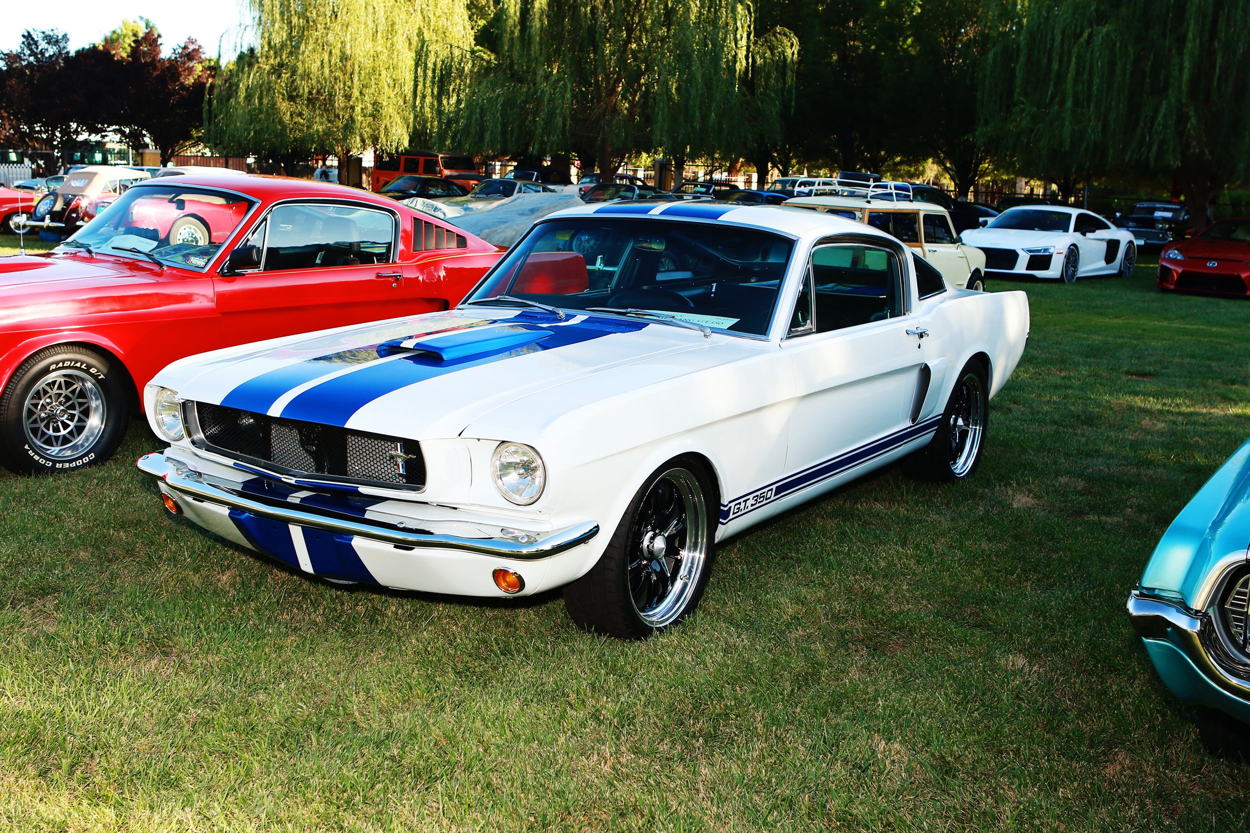 kimjacksonphoto - 20.JPG