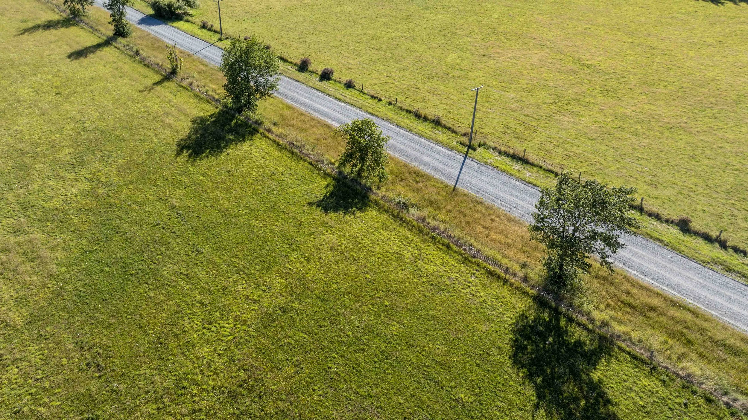 Aerial view of a rural scene featuring a narrow gravel road running through green grassy fields with trees casting shadows on the ground and a utility pole along the road.