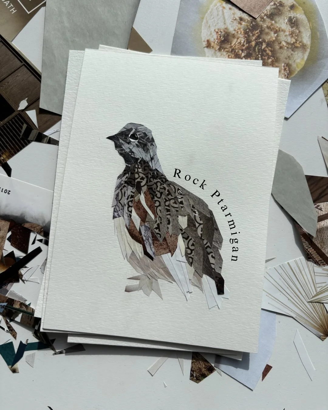 Some of my favourites from my February collection - even though Feb is long gone these birds still deserve a moment 🙃✨

#paperbirds #birdcollage #birdscanada #ptarmigan #grouse