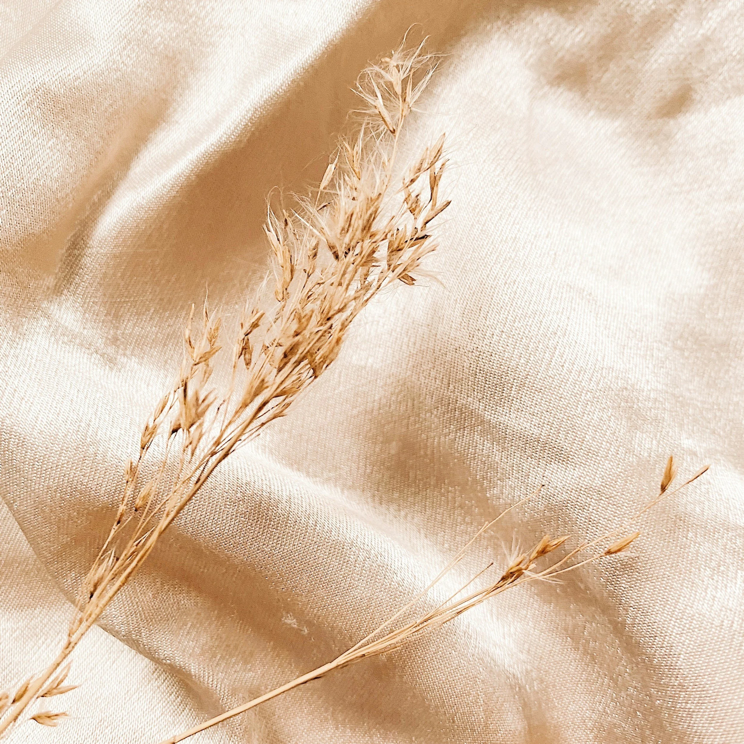Dry beige grass or wheat stalks laid on a soft, beige linen fabric background.