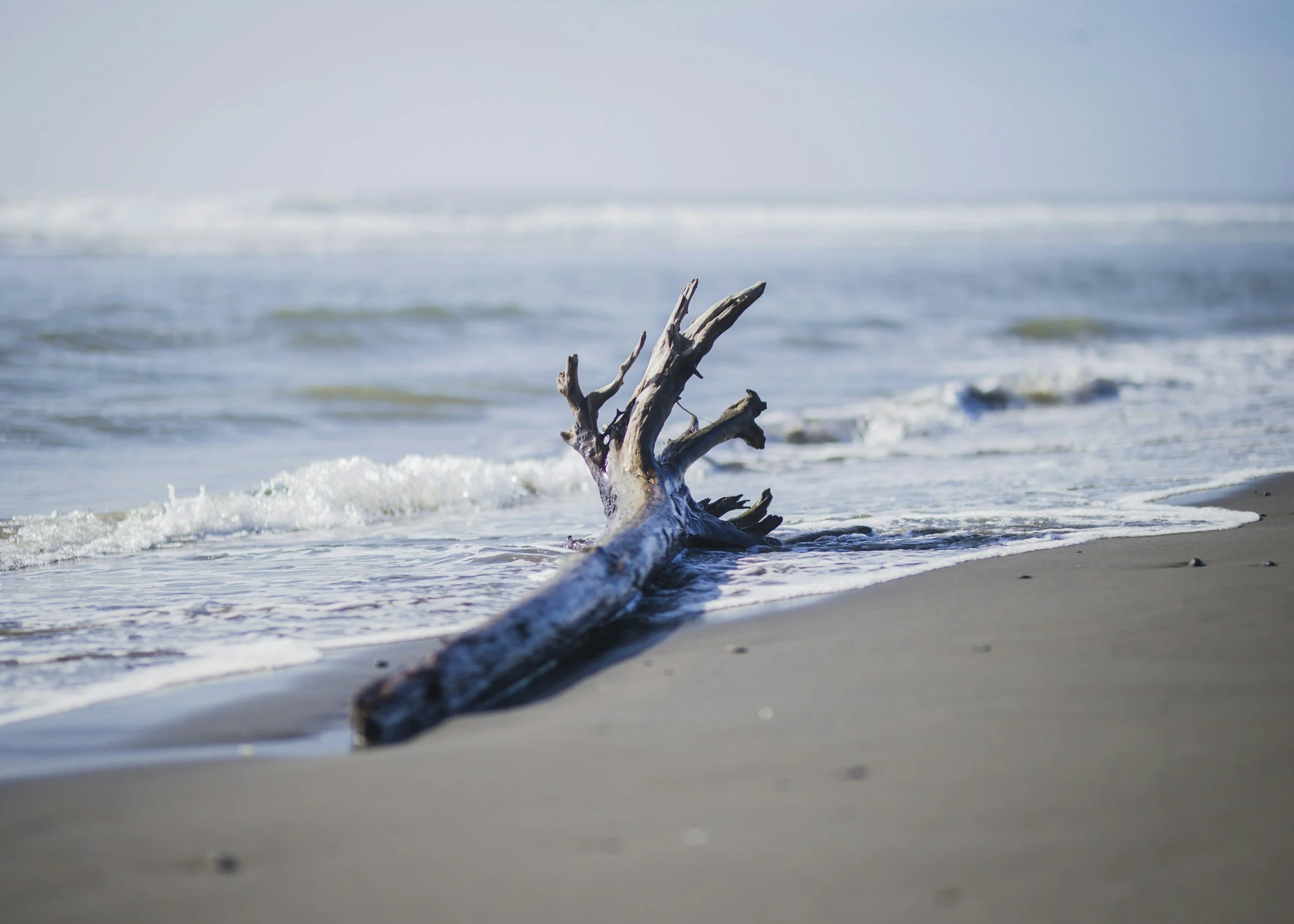 Coastal Clean