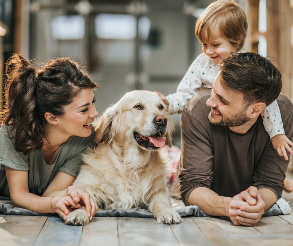 A family of three, including a woman, a man, and a young child, with their golden retriever dog lying on the floor together, smiling and playing in a cozy home setting.