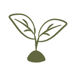 A simple drawing of a small plant with two leaves and a root or soil base.