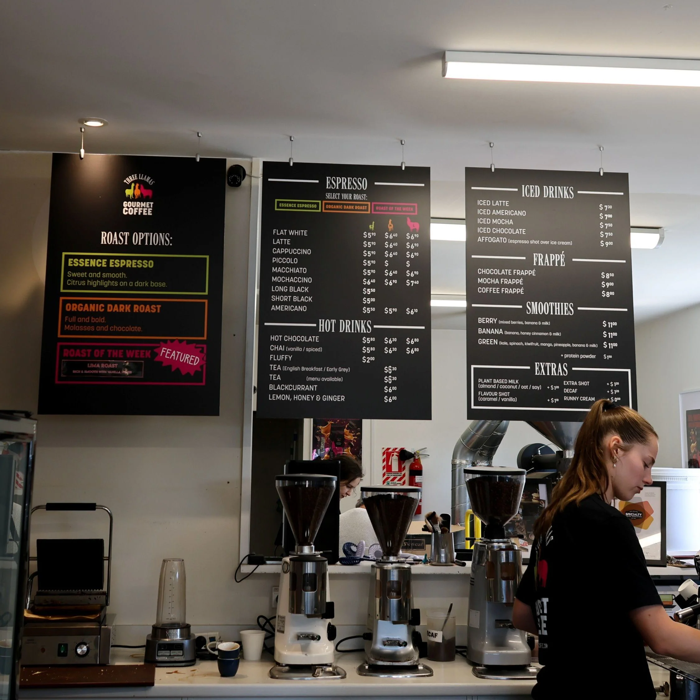 ThreeLlamas2025-22 square.jpg