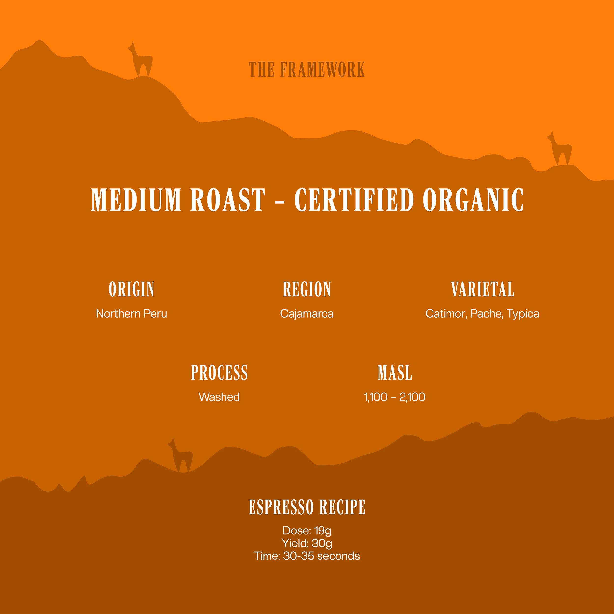 Coffee Profile Website Tiles_Medium1B.png