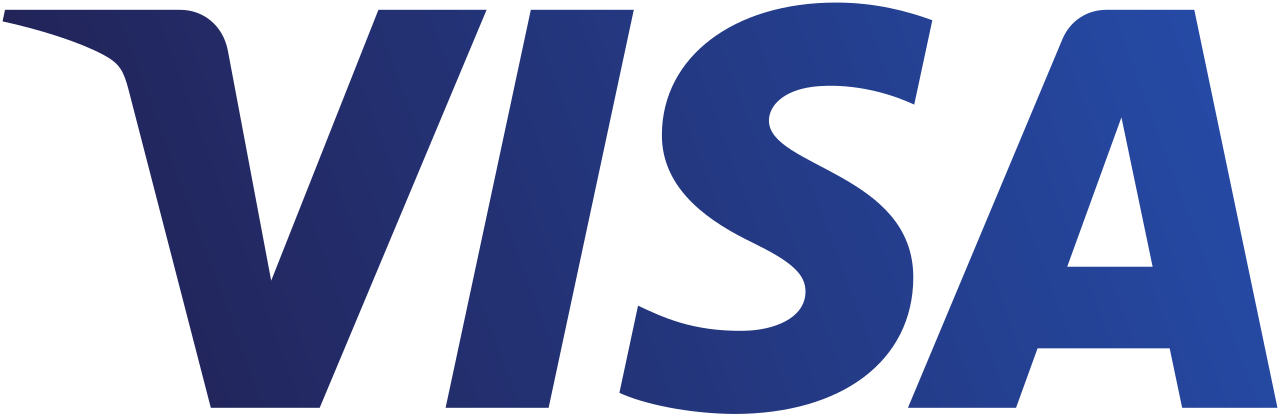 Visa accepted payment logo.