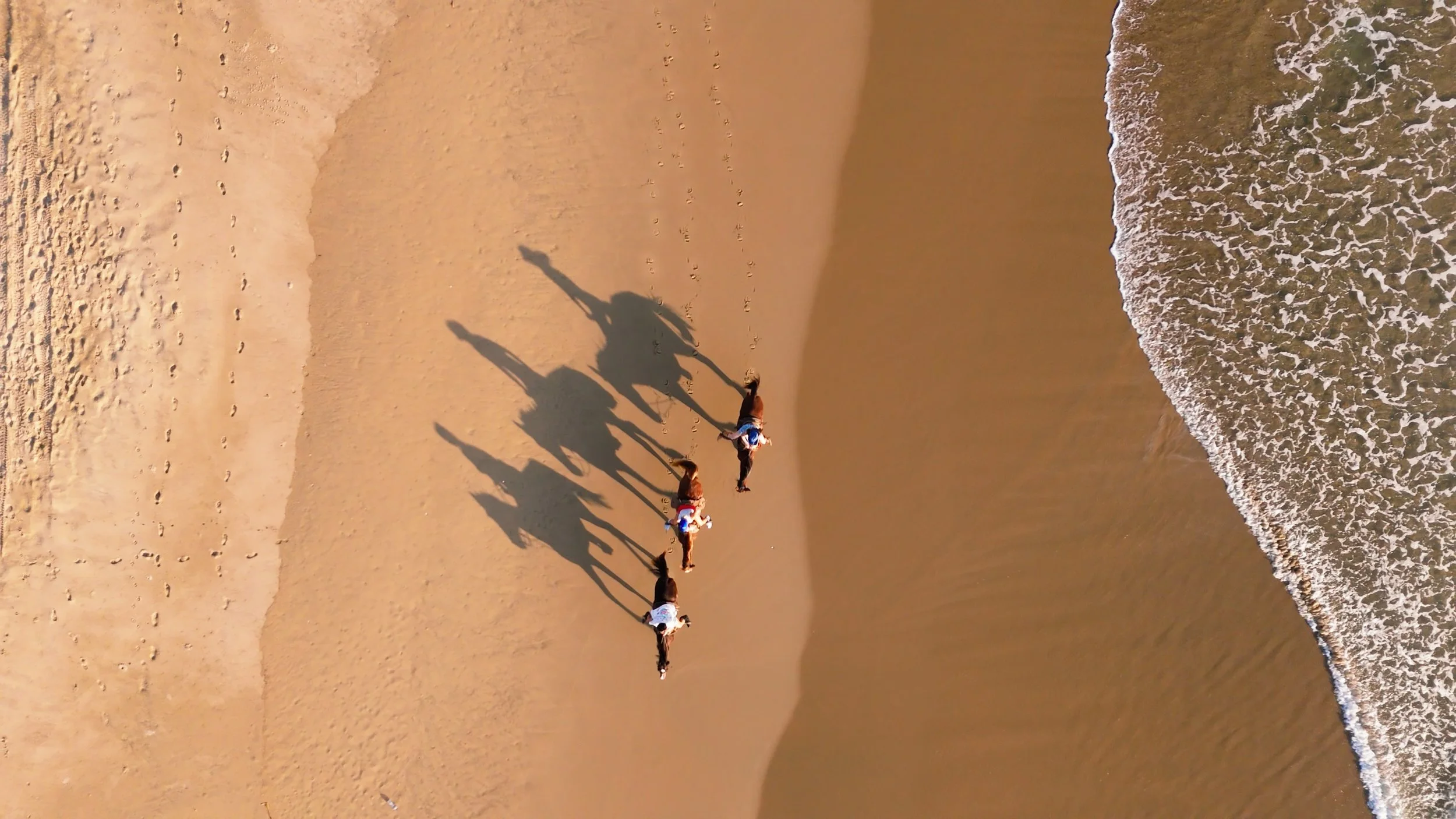 Four people riding horses along the beach with their shadows cast on the sand