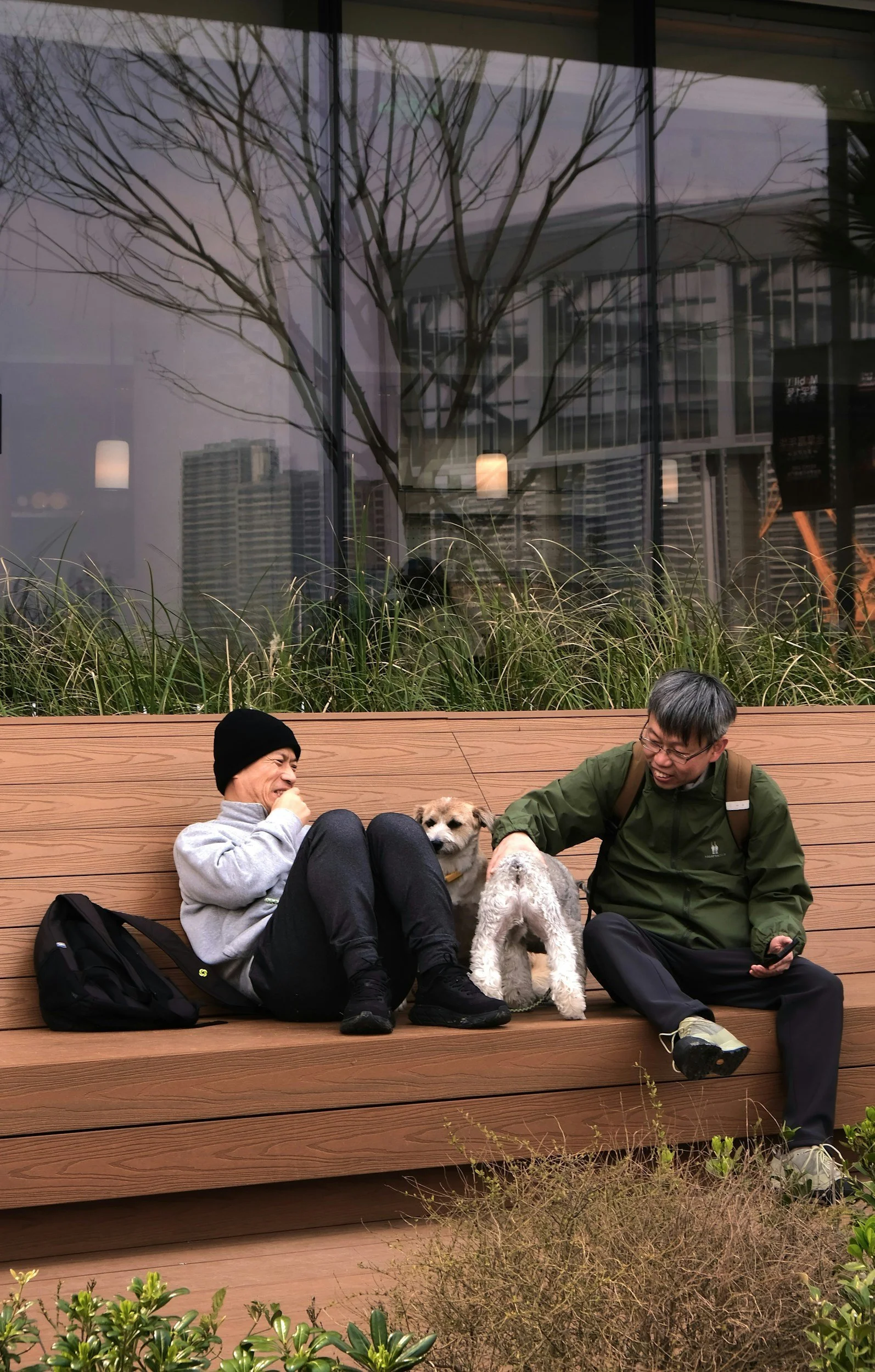 Pet Custody Divorce: Who Gets the Dog?