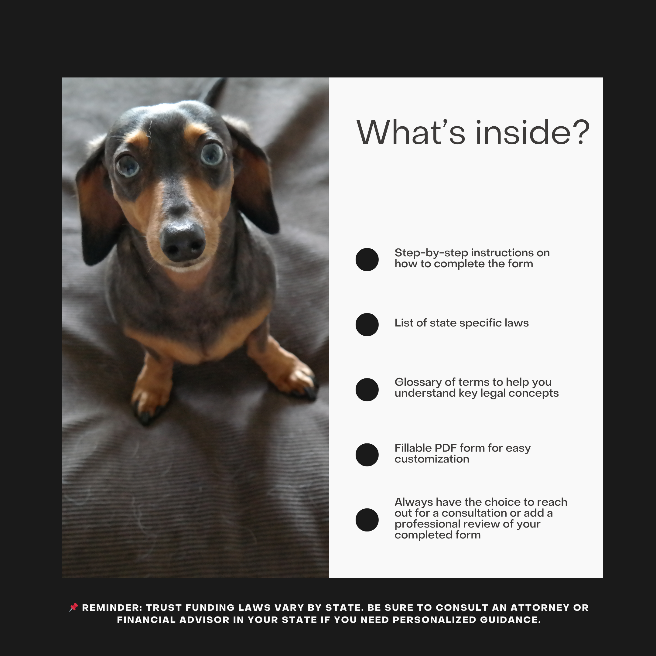 Basic Comanion Animal Trust-3.png