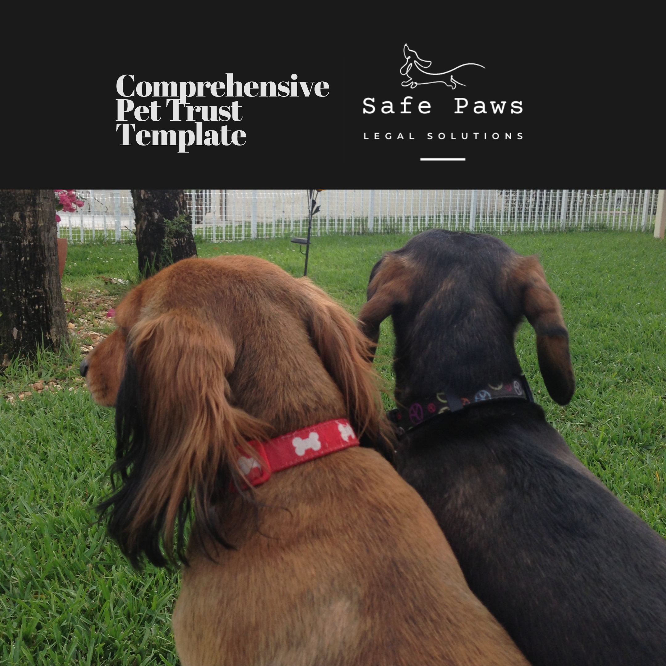 Comprehensive Pet Trust Template