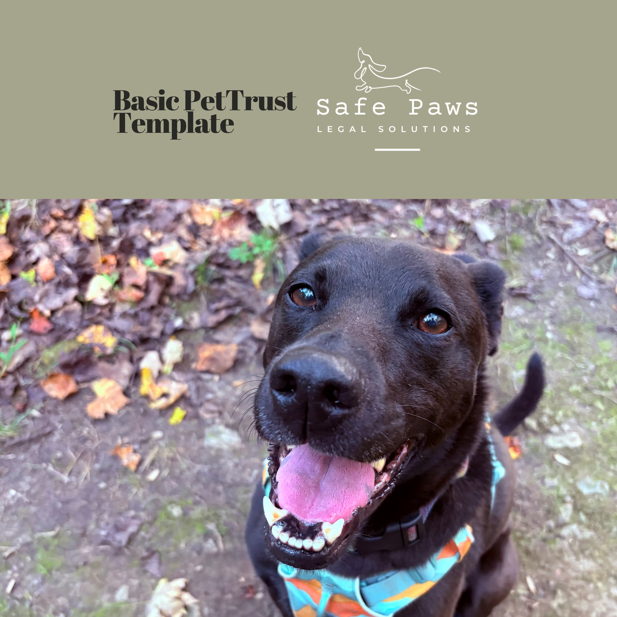 Basic Pet Trust Template