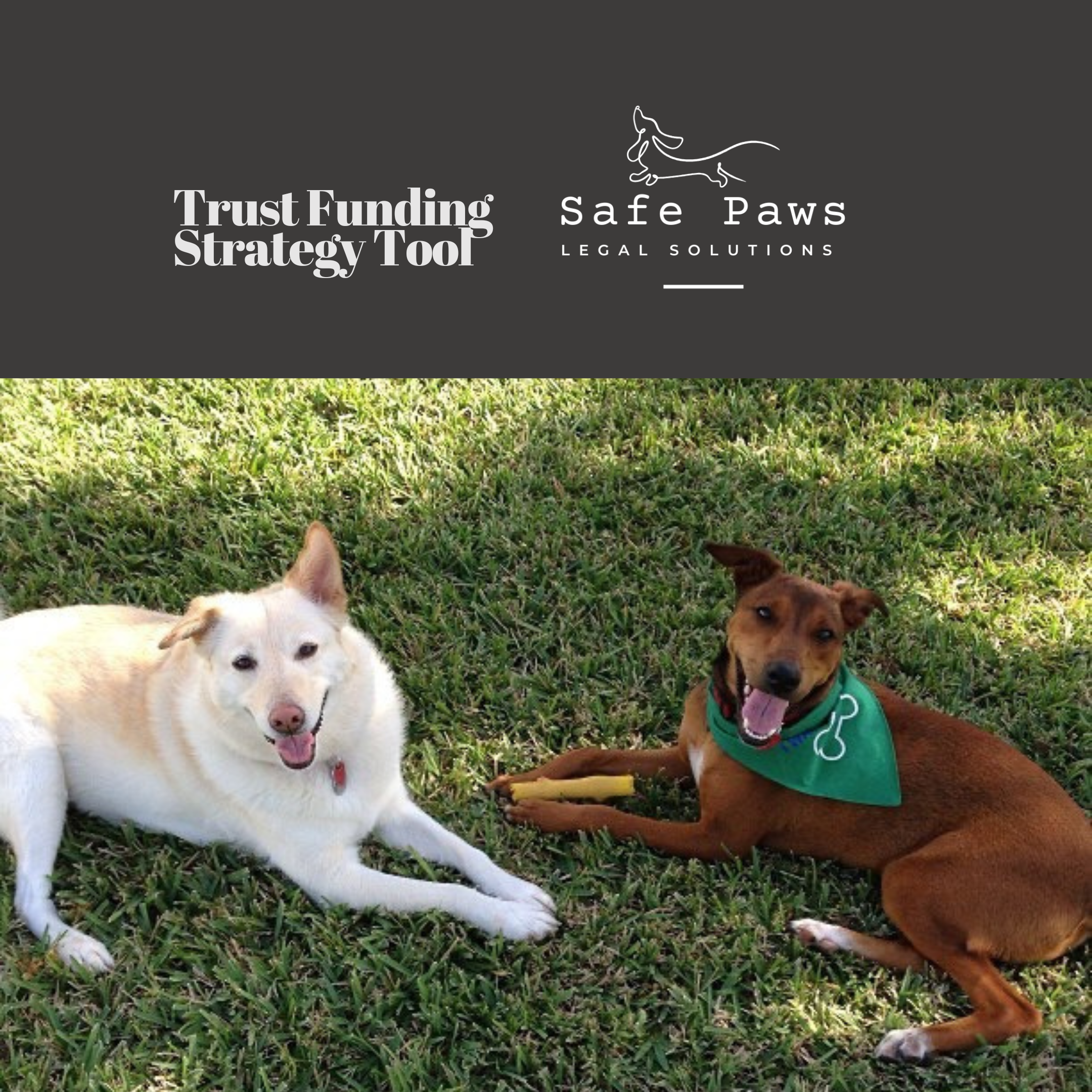 Trust Funding Strategy Tool