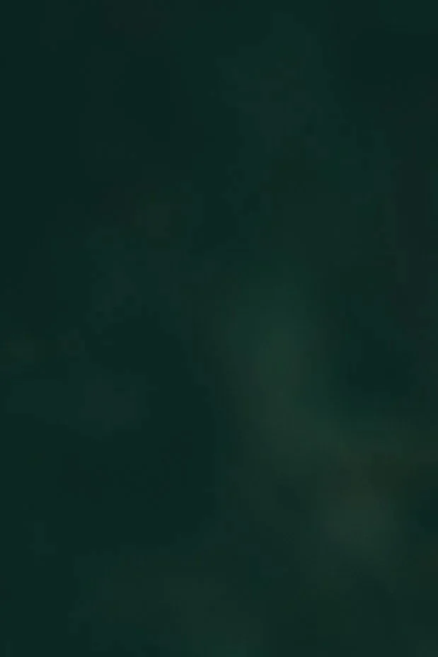 A dark, blurry image with no distinguishable objects or details.