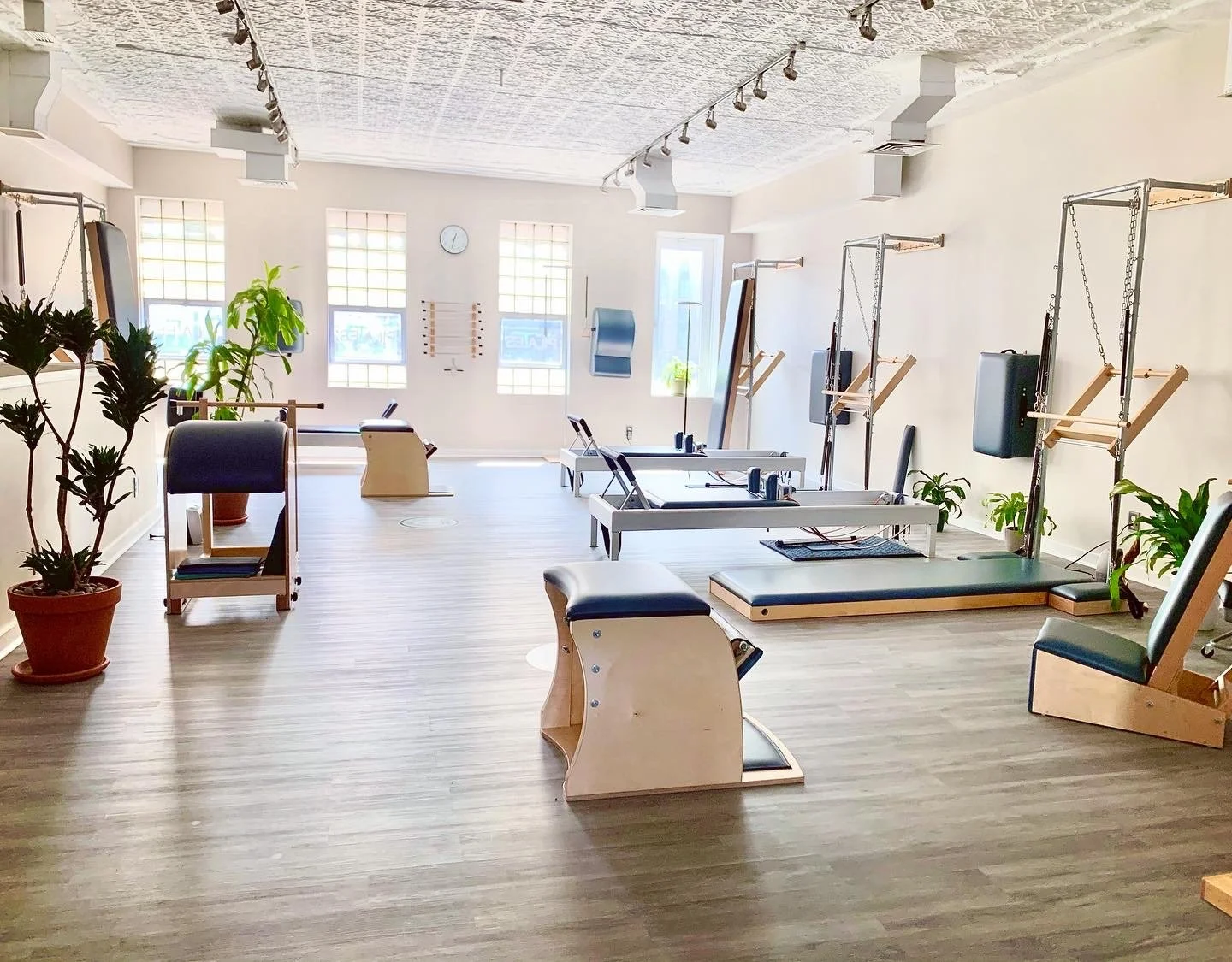 A spacious Pilates studio with wooden floors, large windows, Pilates equipment including reformer chairs, wall-mounted bars, and exercise mats. Potted plants are near the windows and equipment.