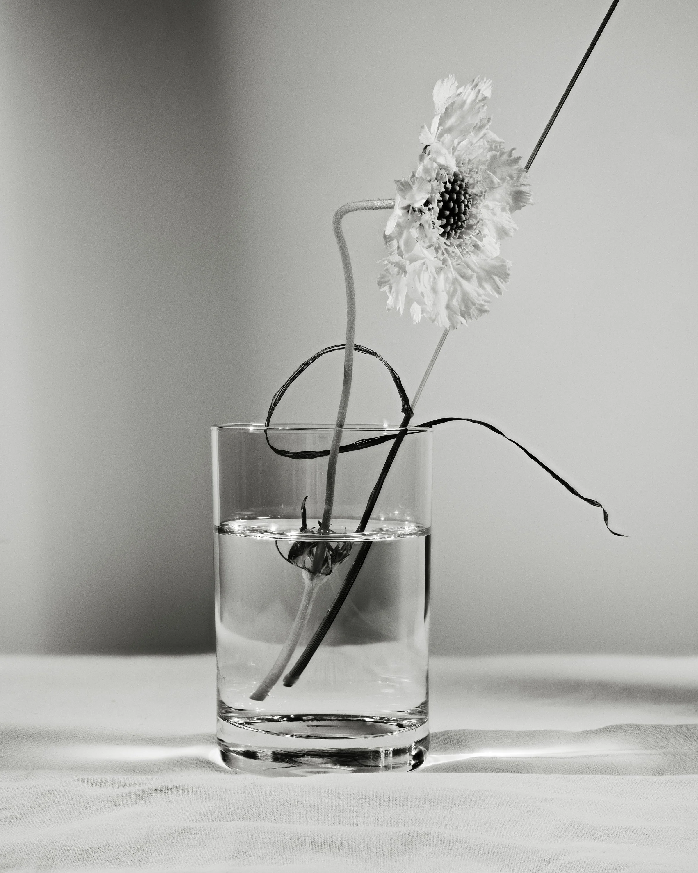 Hima Jomo, @Achille Laplante Le Brun, 
set design: @Lilly Marthe Ebener