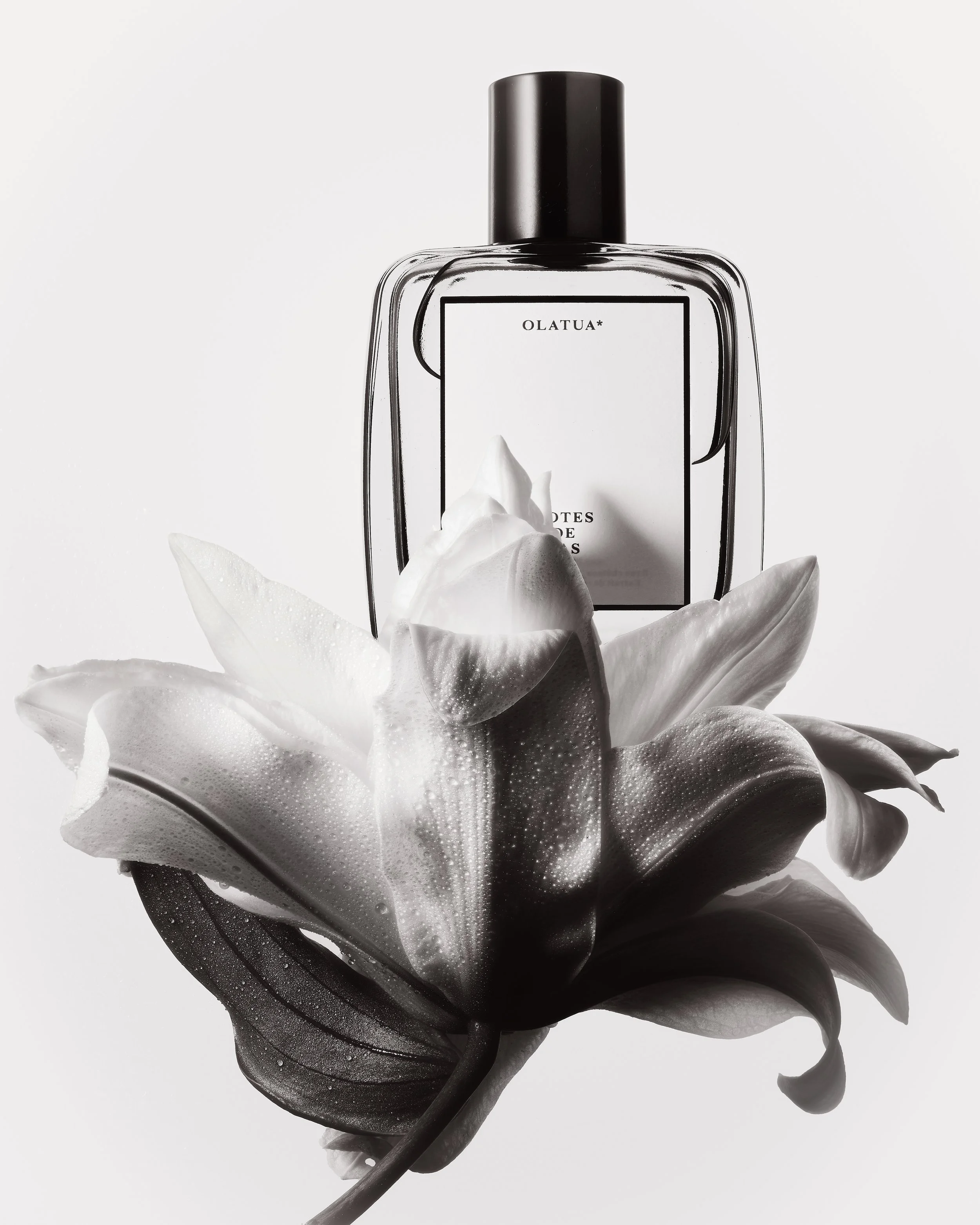 Notes de Bas de Paje, @Achille Laplante Le Brun