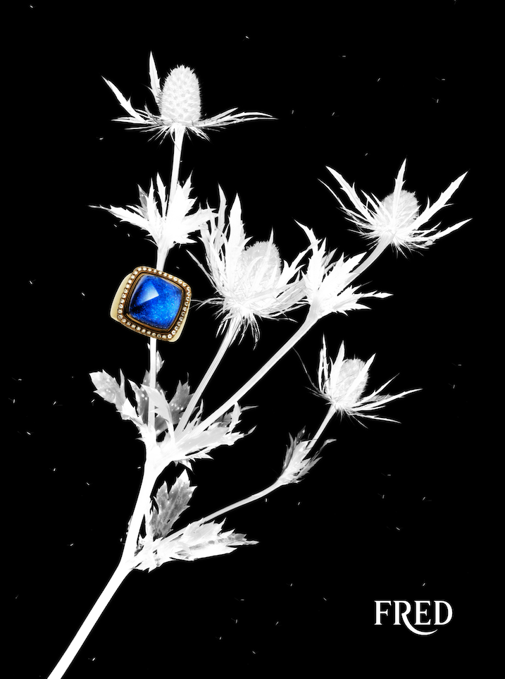 Fred, @Achille Laplante Le Brun