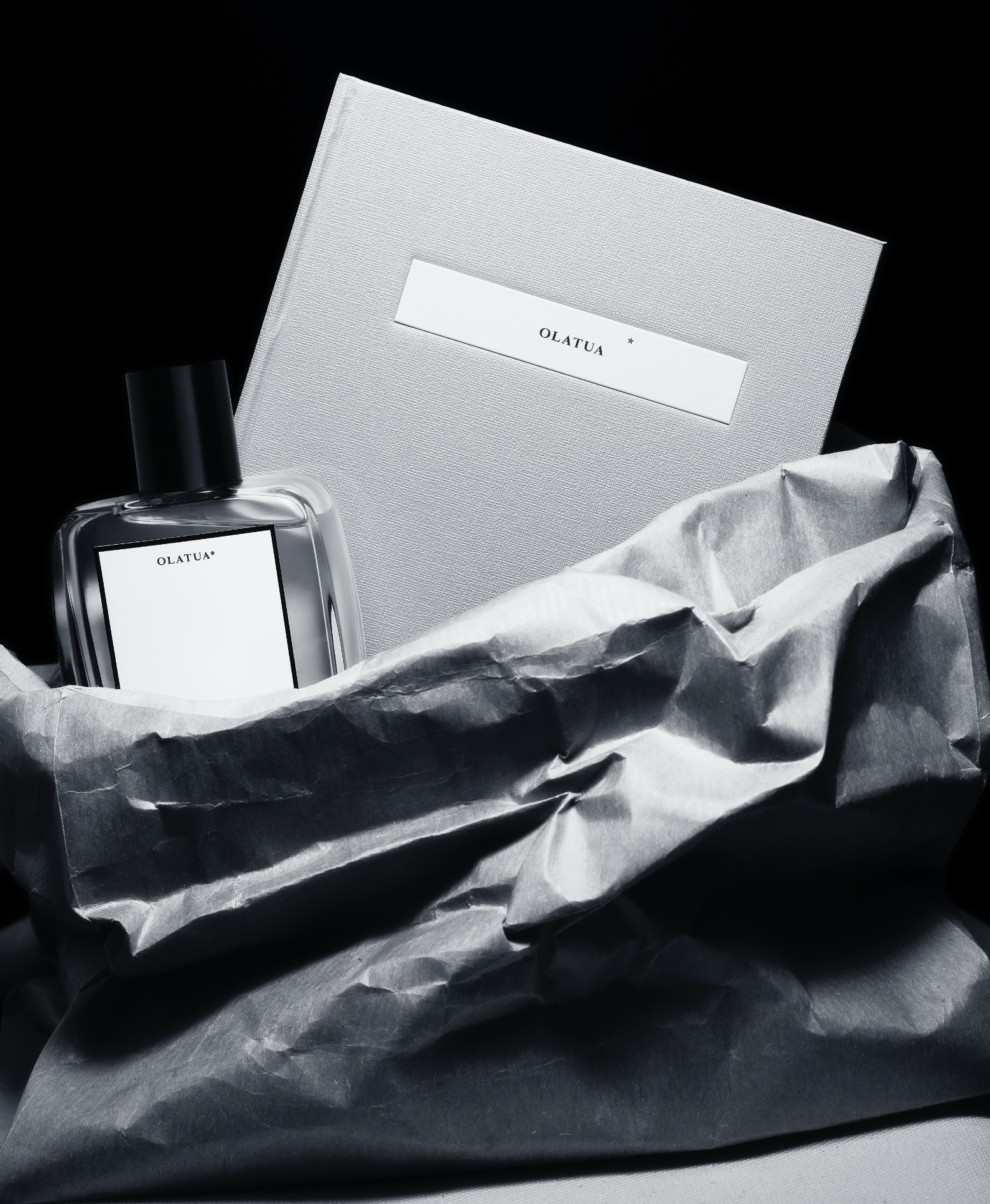 Notes de Bas de Paje, @Achille Laplante Le Brun