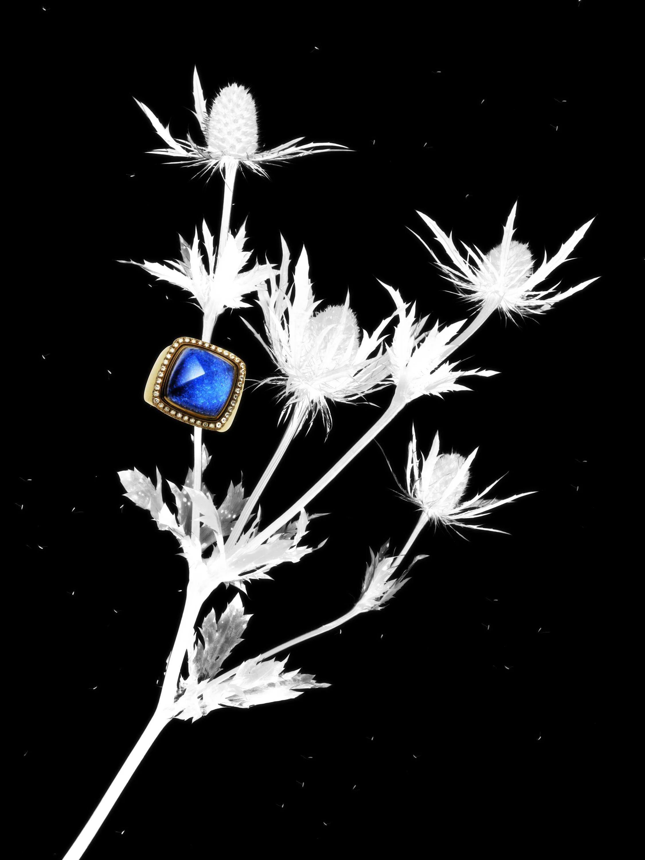 Fred, @Achille Laplante Le Brun