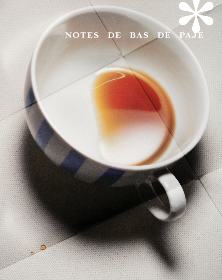 Notes de Bas de Paje, @Achille Laplante Le Brun