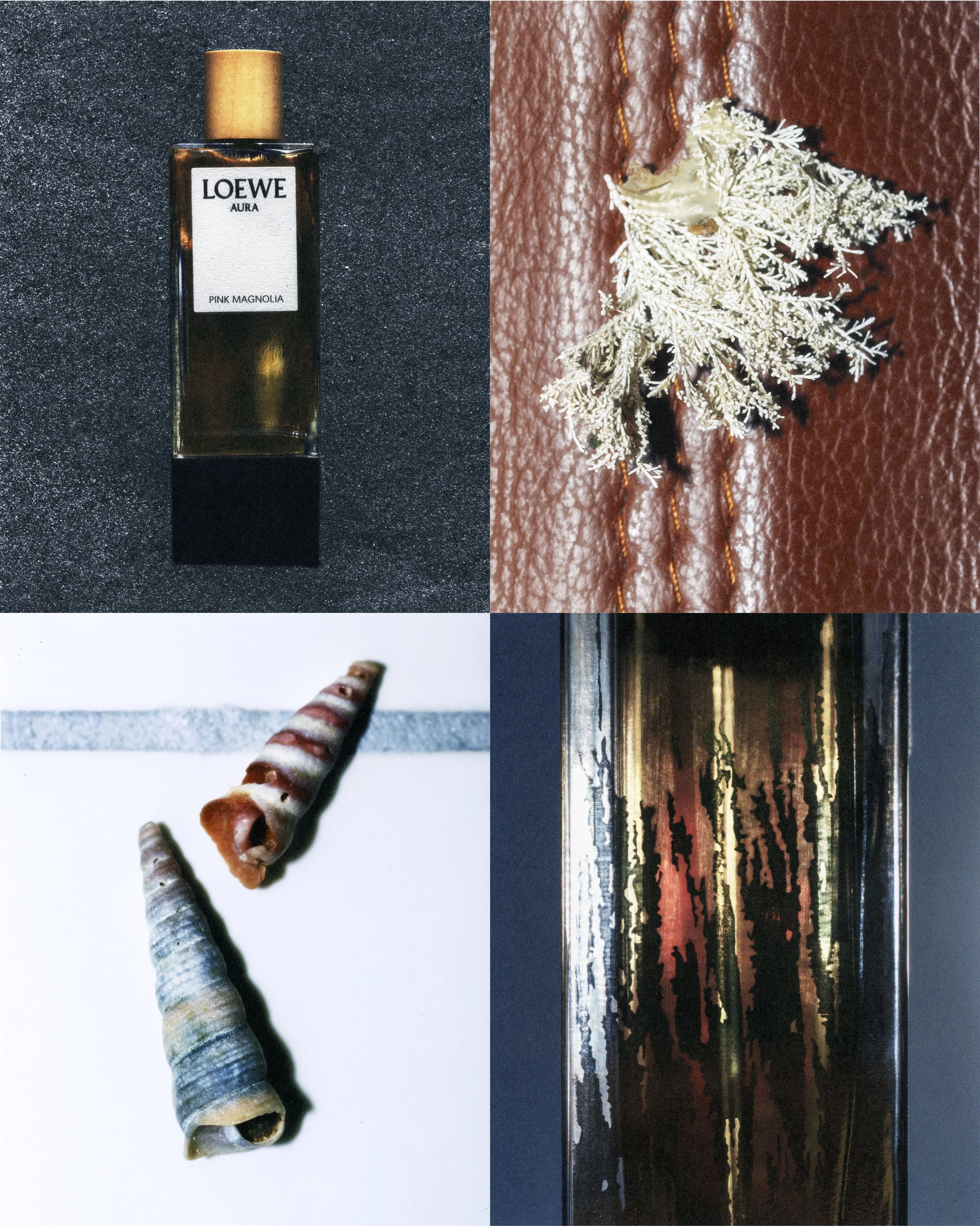 Loewe, @Achille Laplante Le Brun