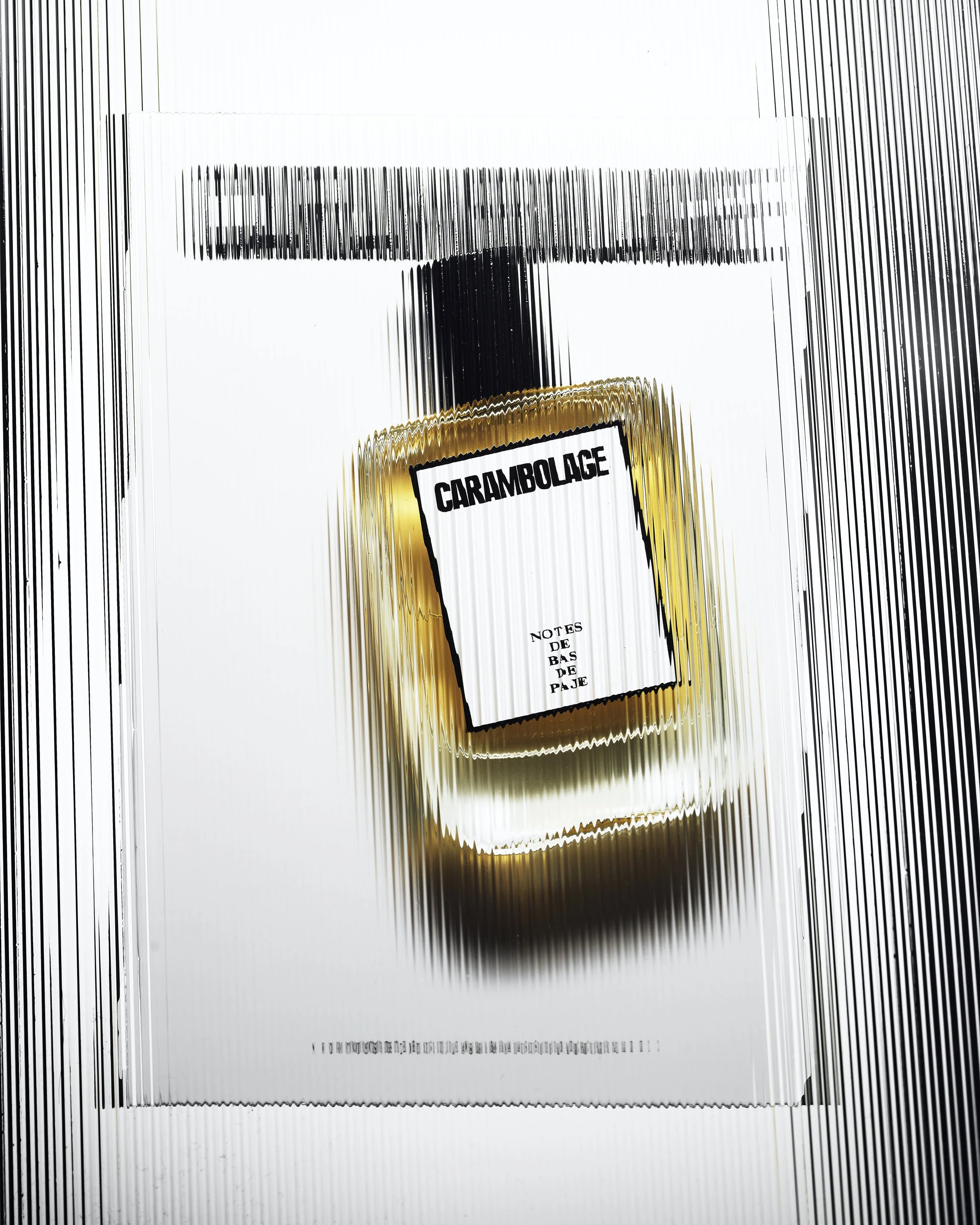 Notes de Bas de Paje, @Achille Laplante Le Brun