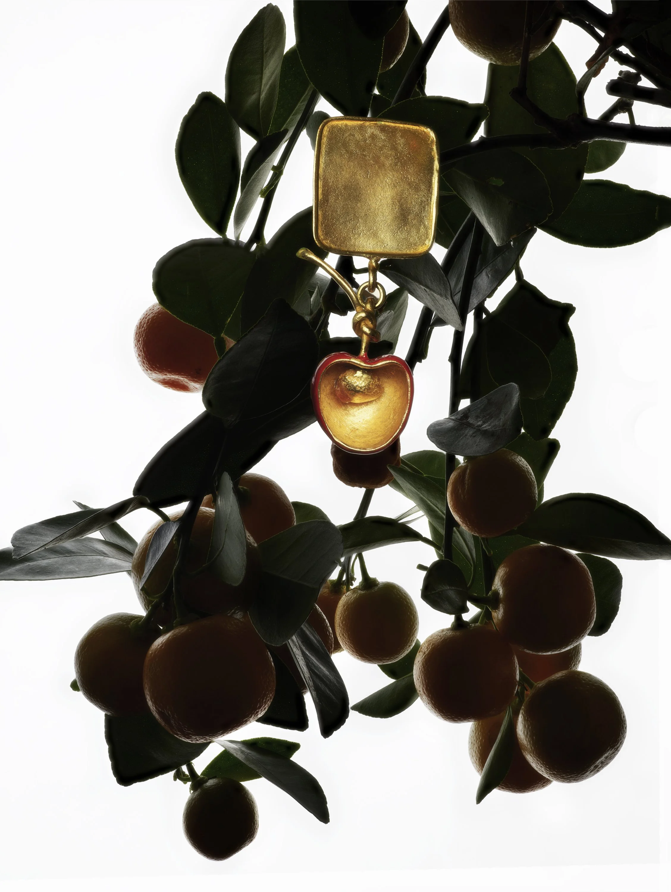 Samuel François, @Achille Laplante Le Brun