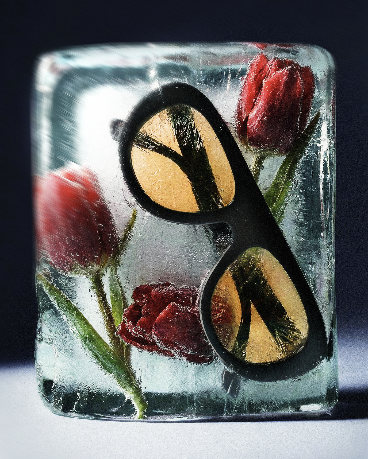 Expérimentation avec Jimmy Fairly