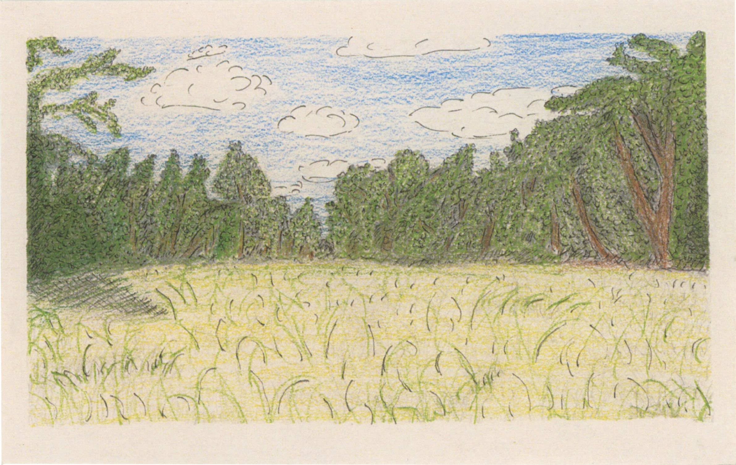 landscape.png