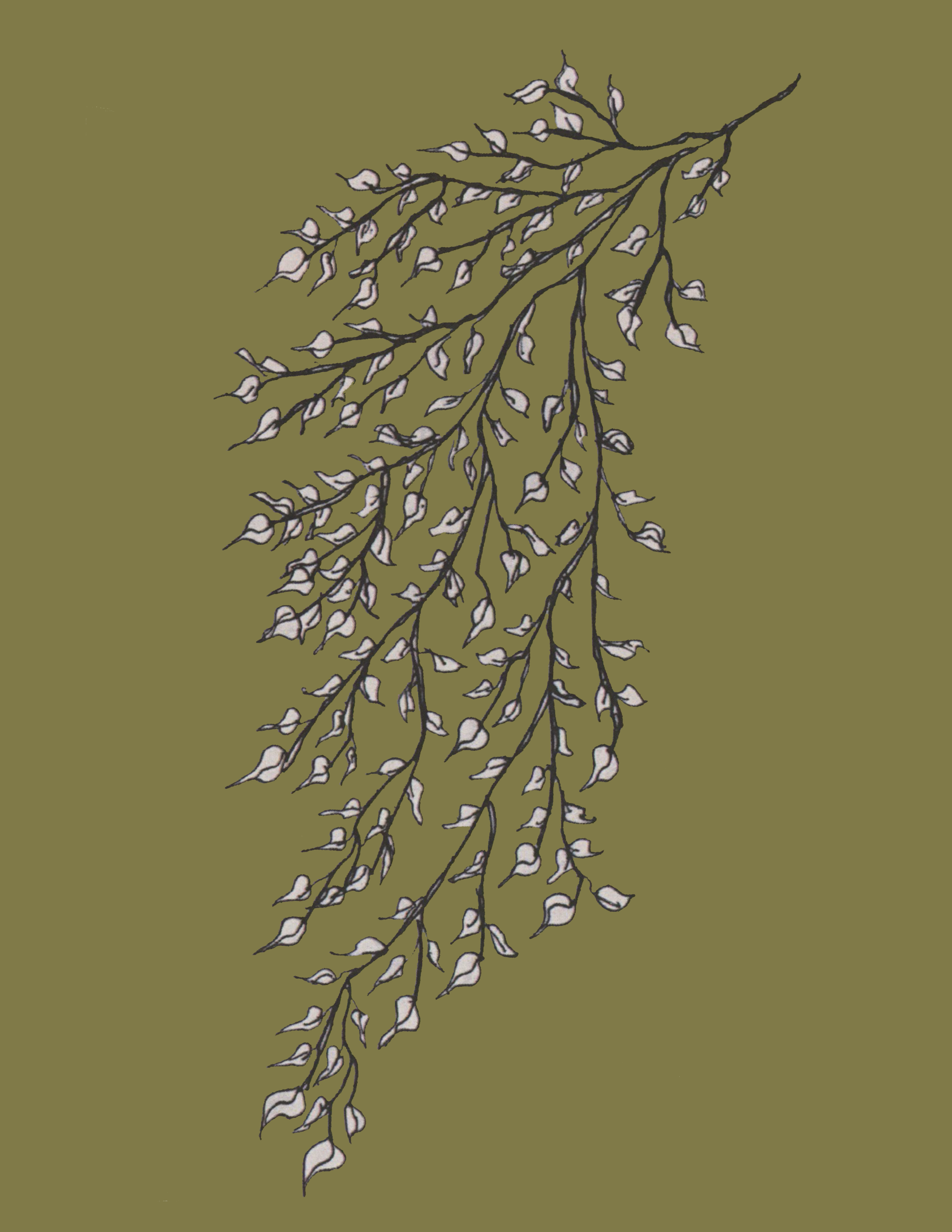 branch.png