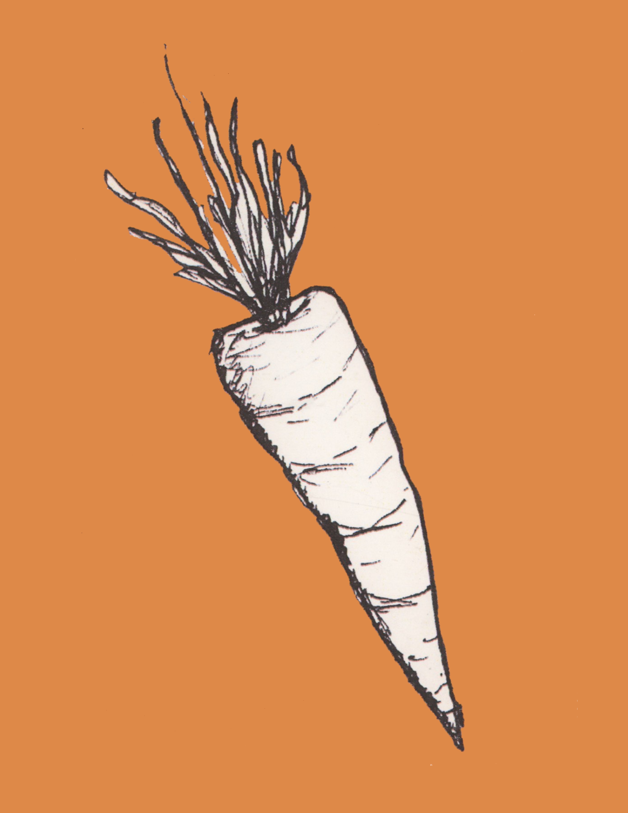 carrot.png