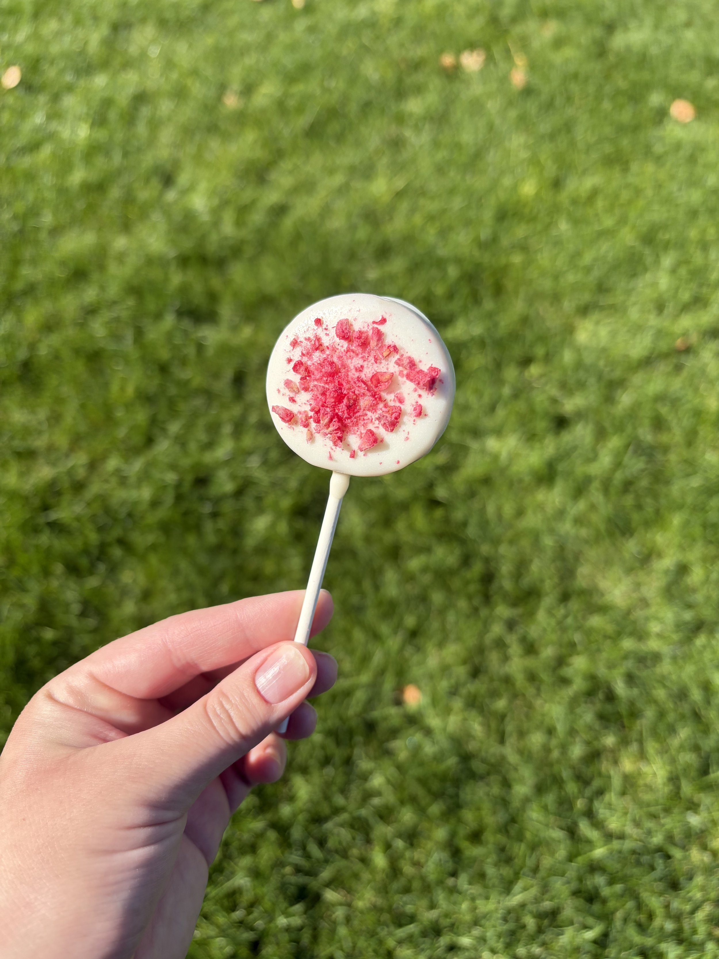 Raspberry White Chocolate Cake Pop.jpeg