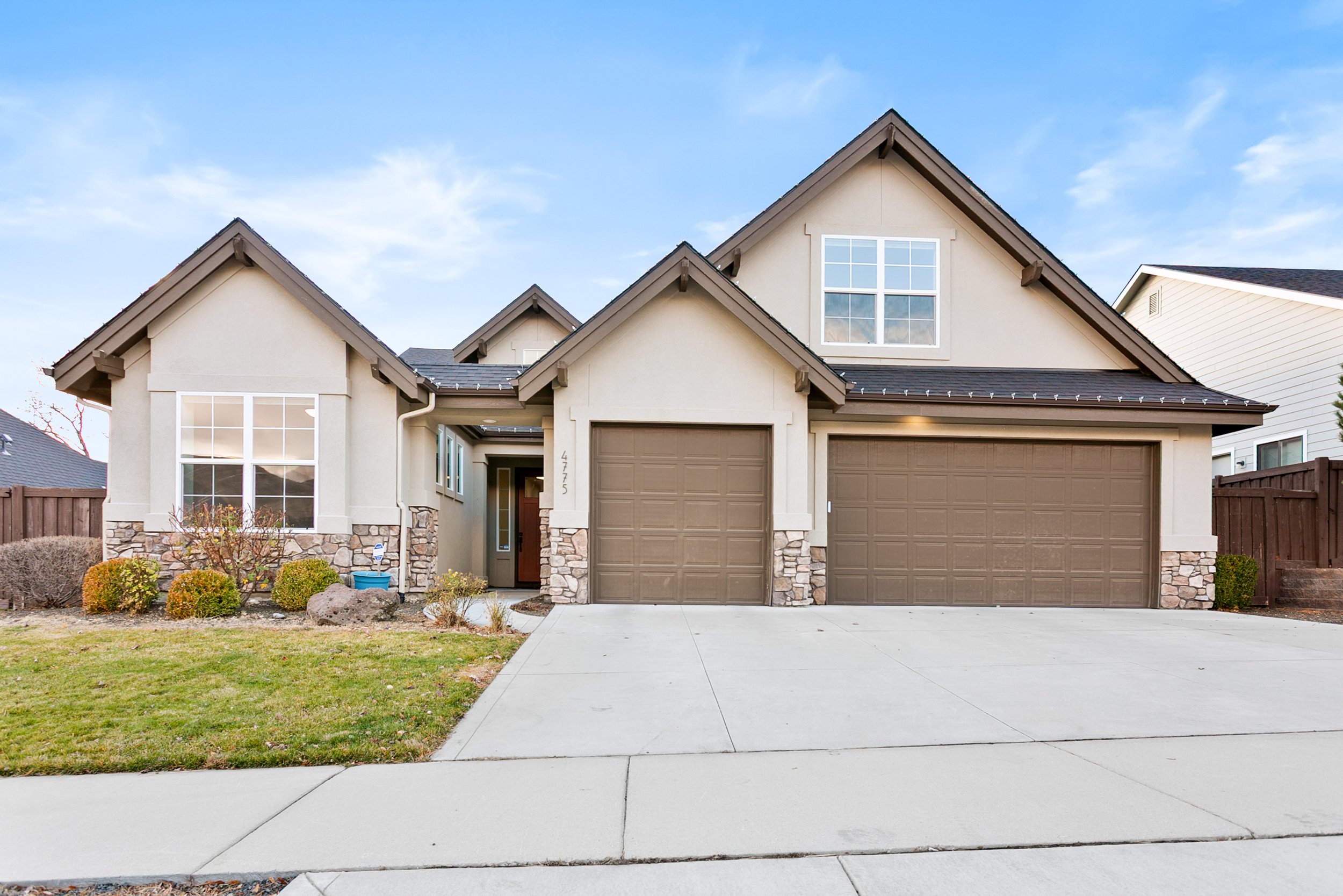 4775 SPOTTED HORSE--1 - copy.jpg