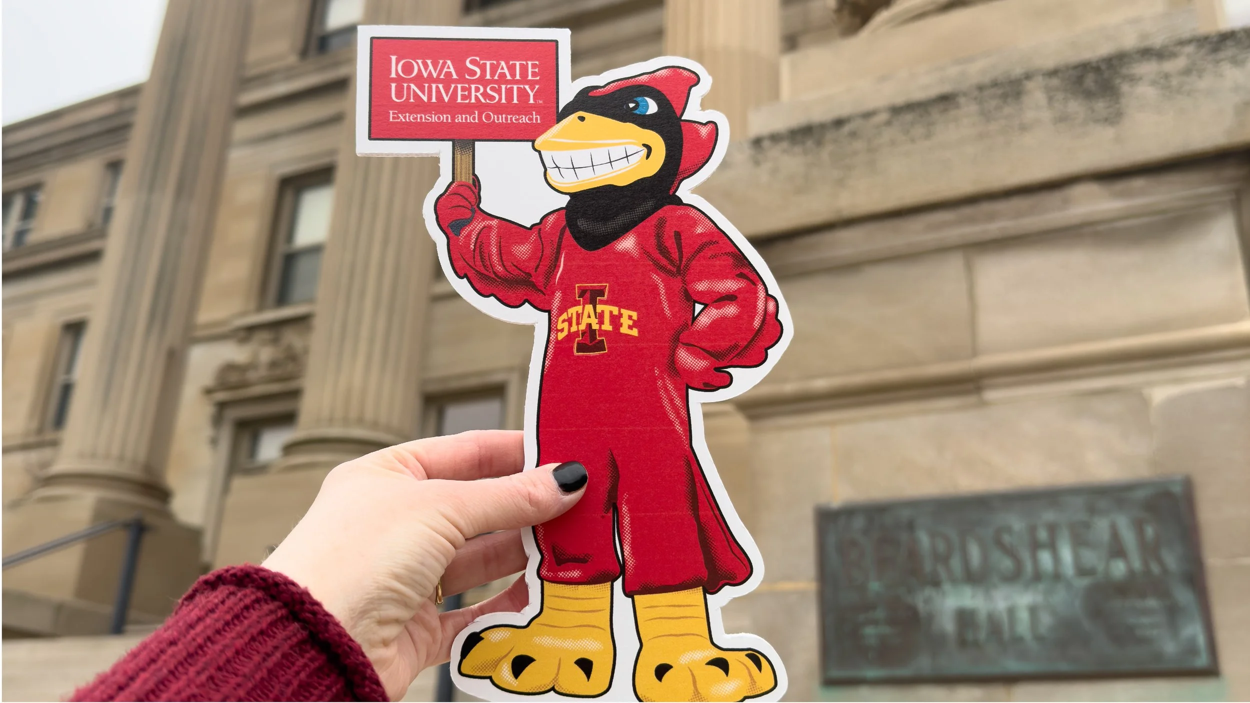 i spy cy PROJECT-03.jpg