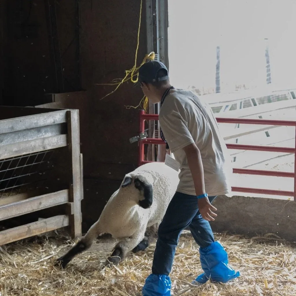4H Animal Science Round Up at ISU